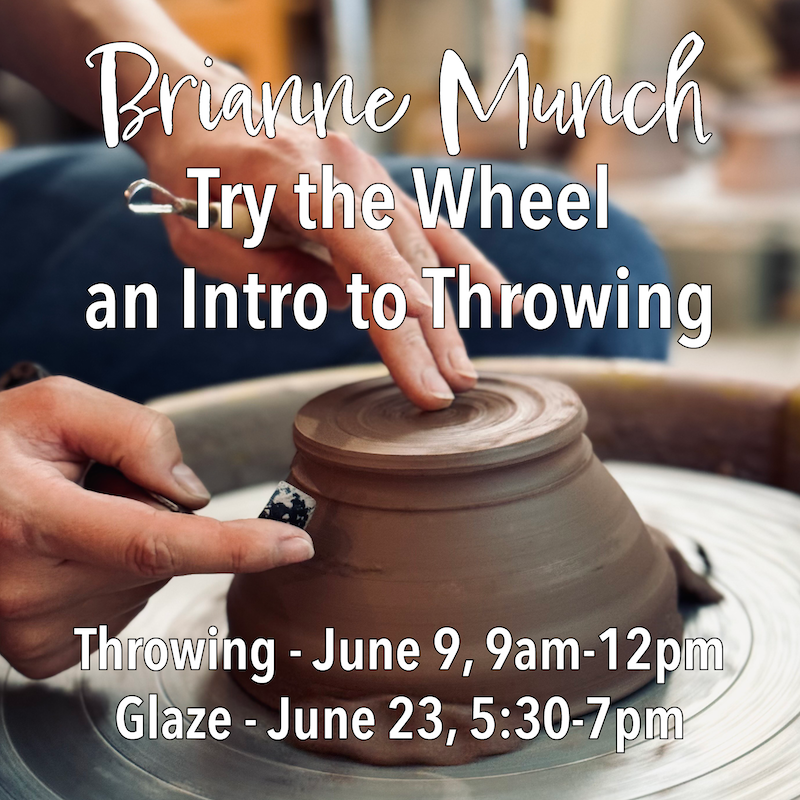 Brianne_TryWheel_June2.png