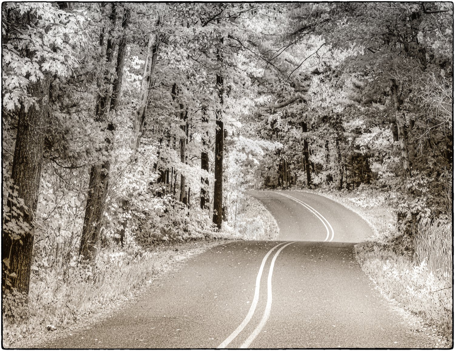 Road to Good Harbor-TimWade.jpeg