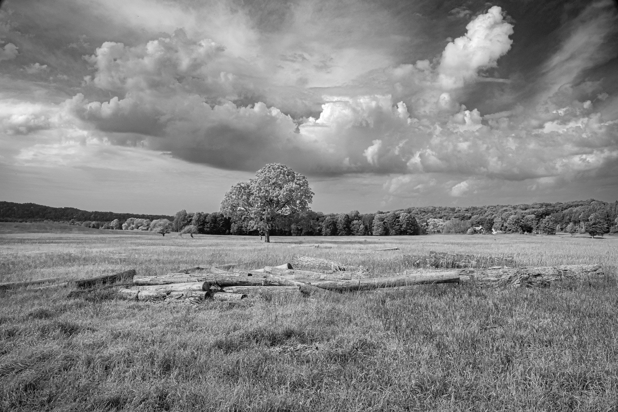 Along M22, wanting too storm-TimWade.jpeg