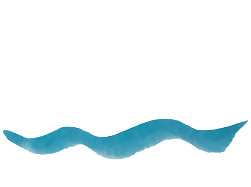 Northport Arts Association