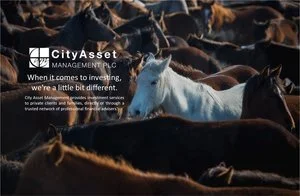 CAM AIM Portfolio Service