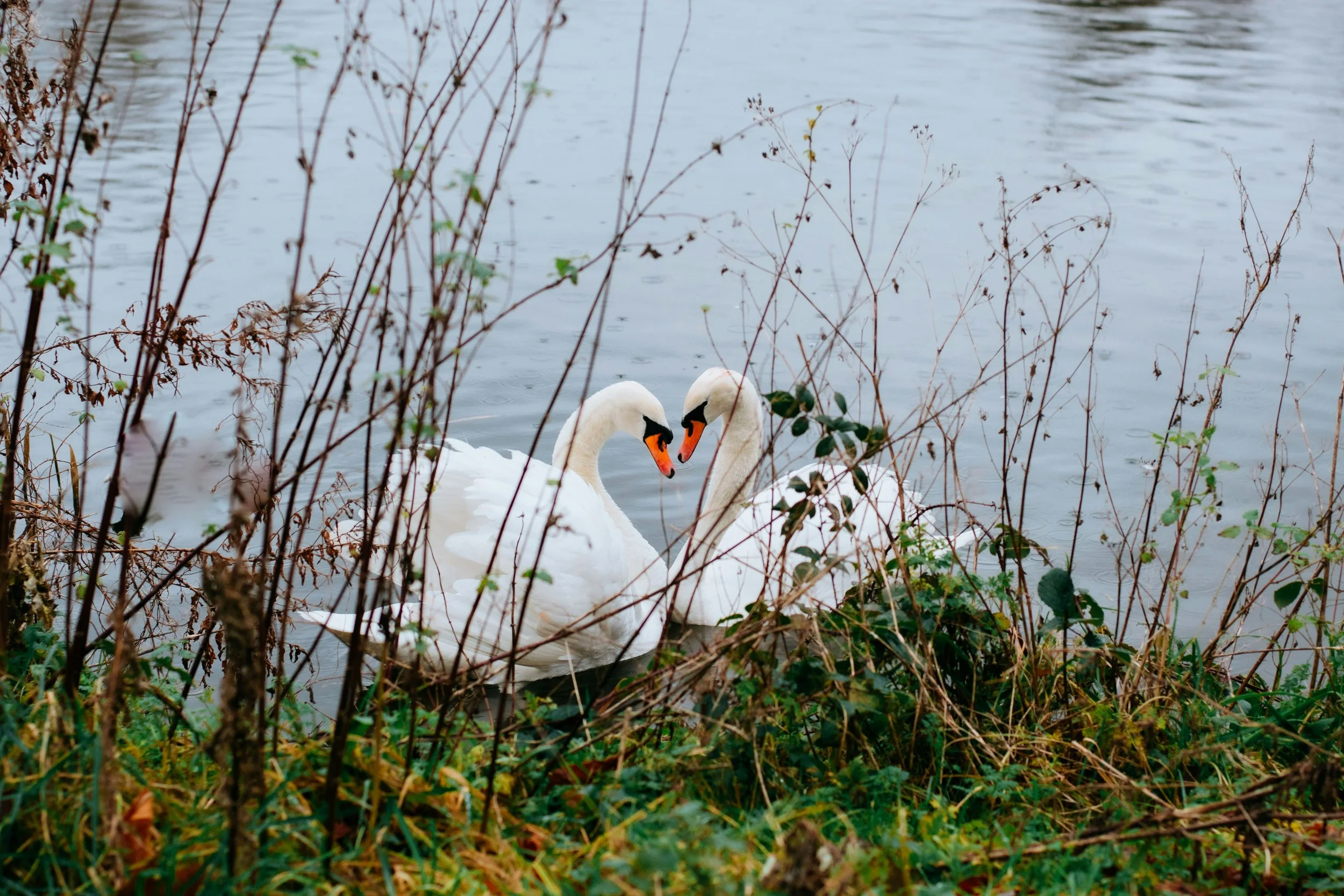 The Growing Importance of Planning for Long-Term Care