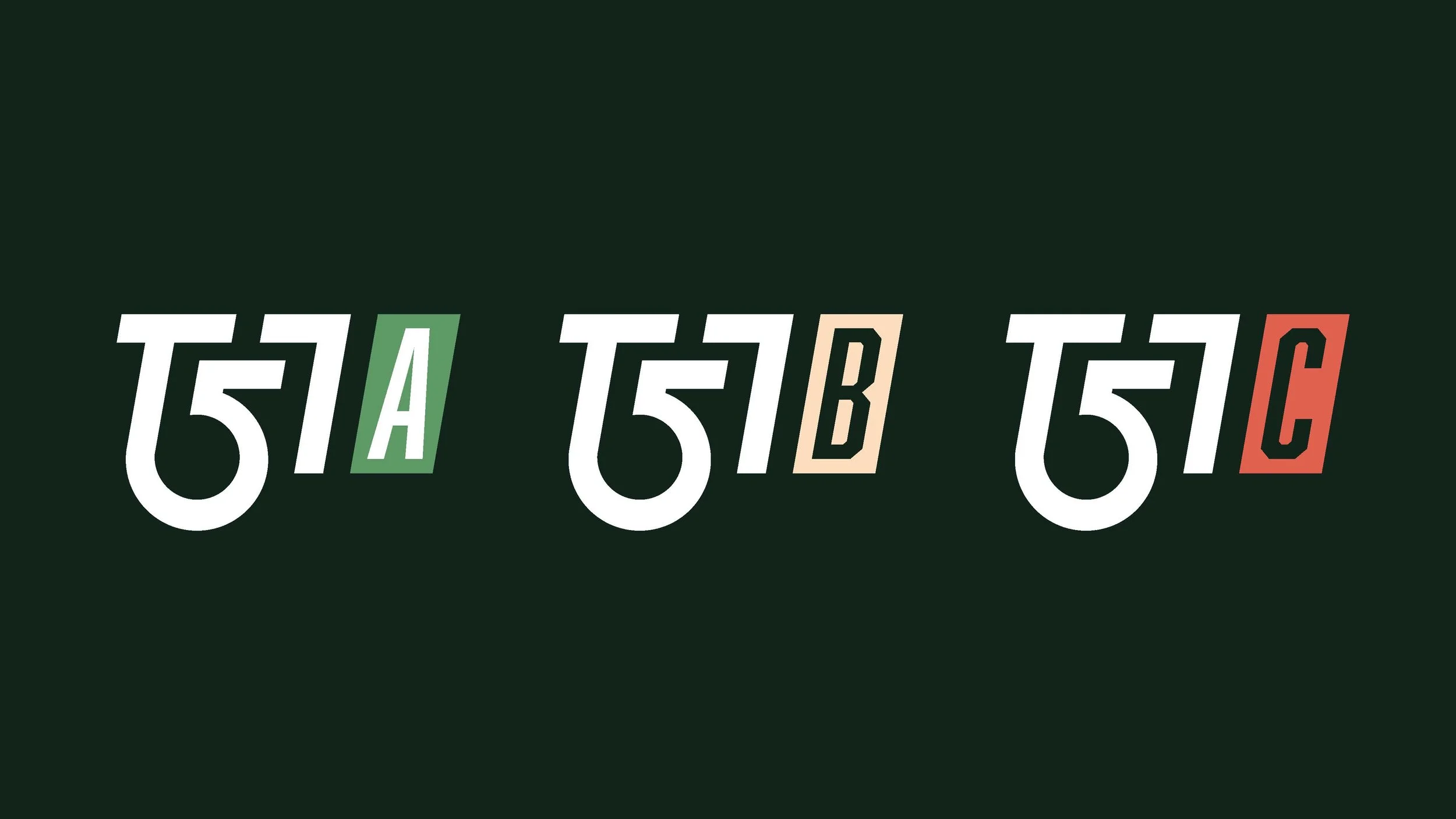 T57_Branding_Page_28.jpg