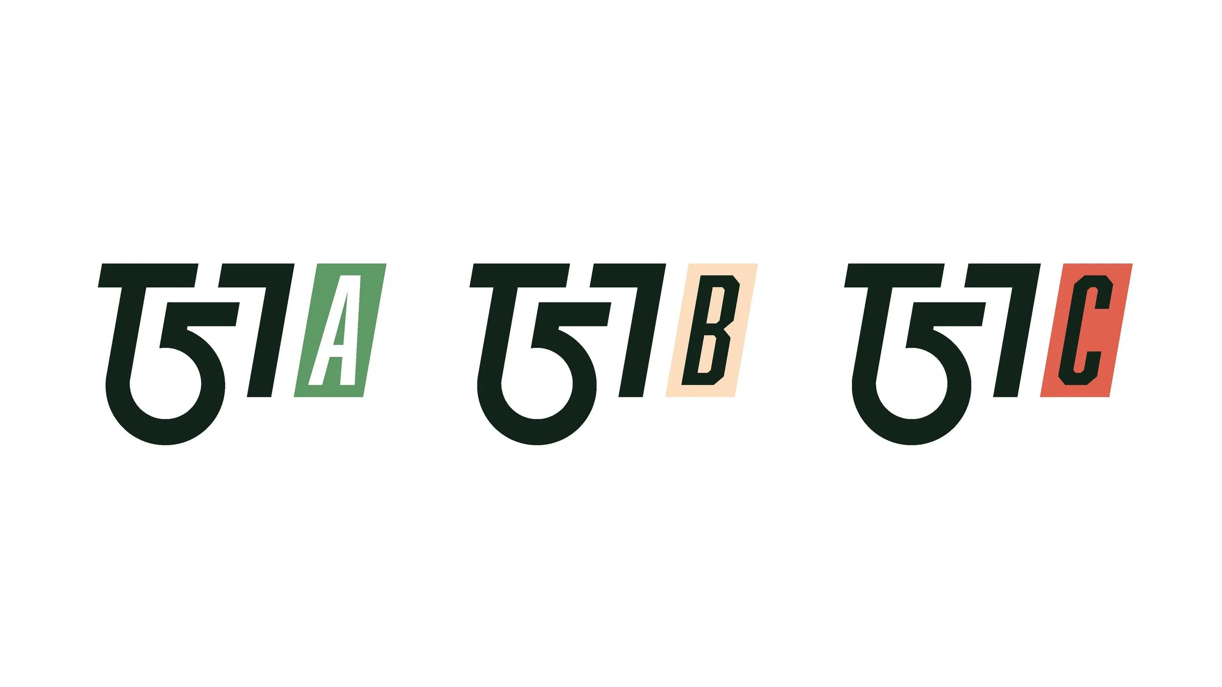 T57_Branding_Page_27.jpg