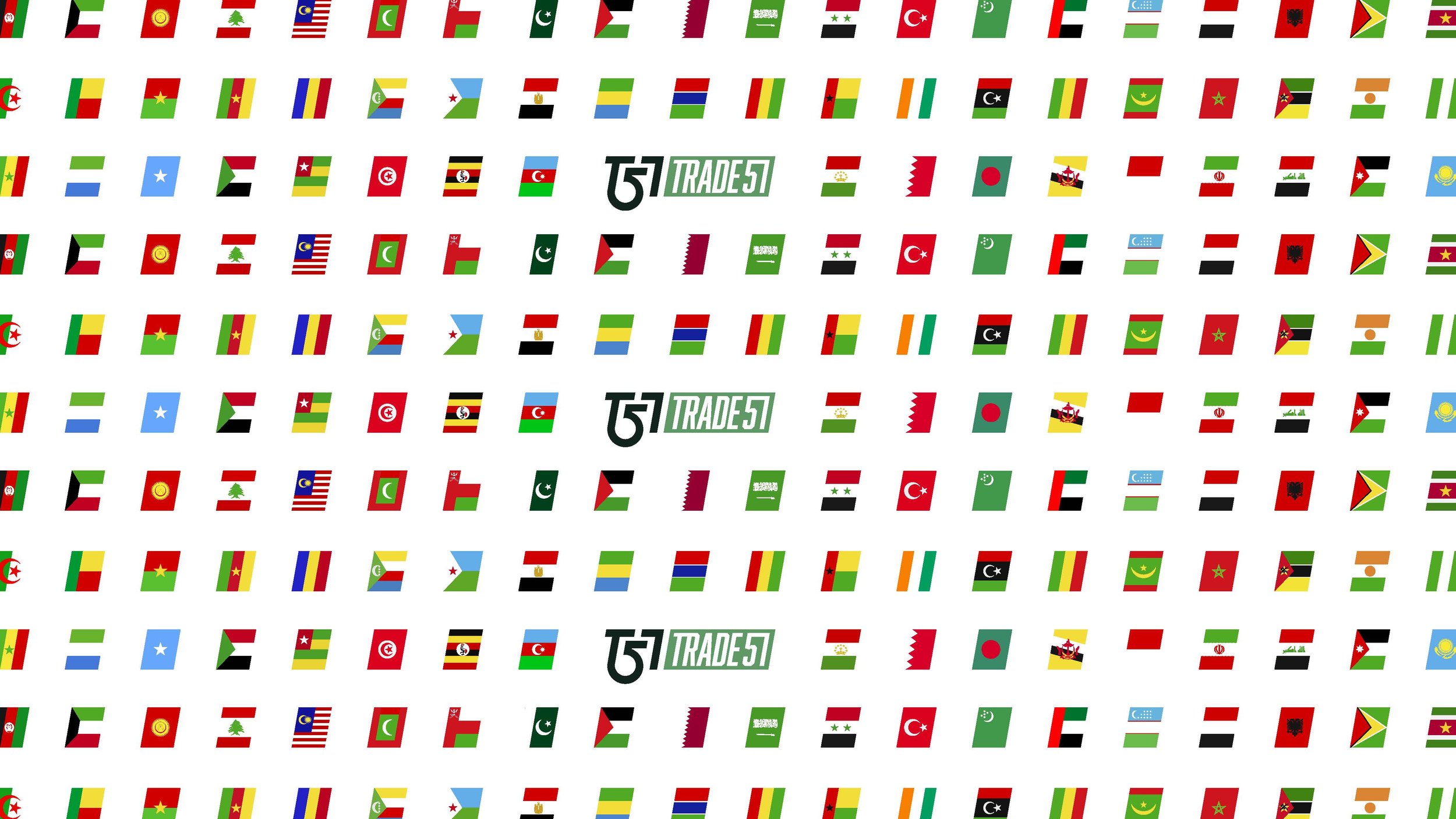 T57_Branding_Page_33.jpg