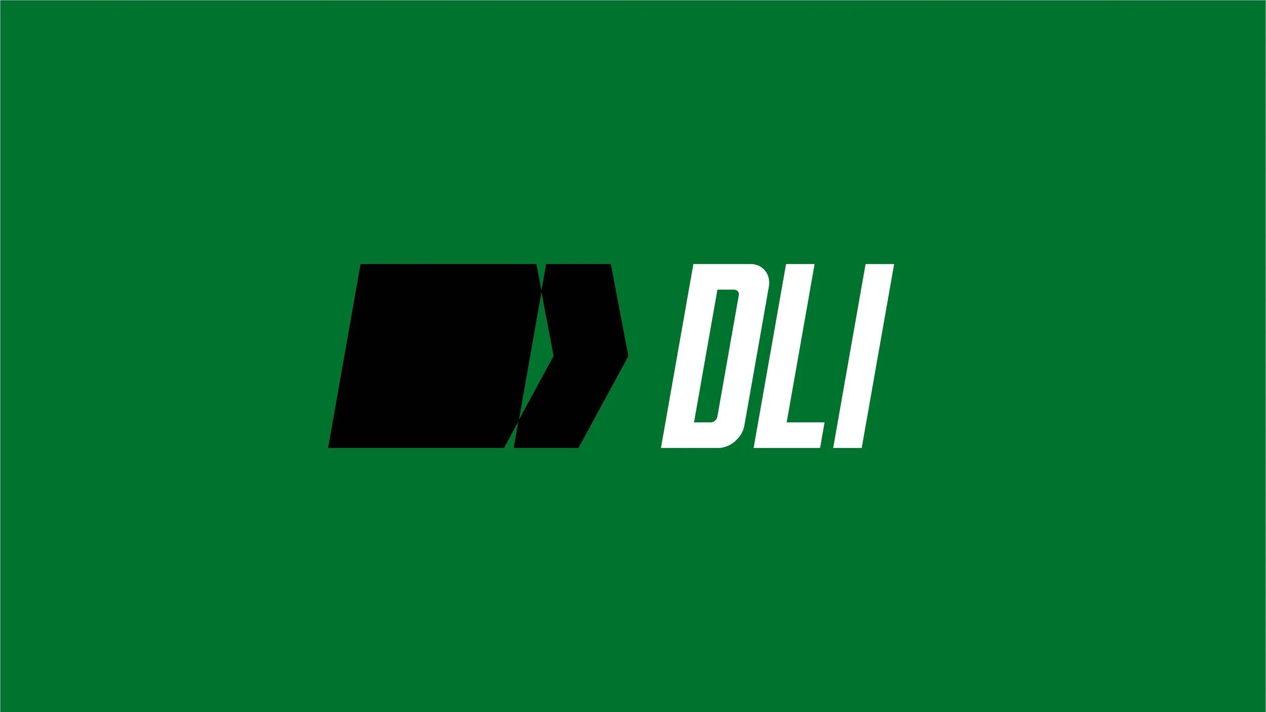 DubaiLogisticsInternational_Branding_v2_Page_08.jpg