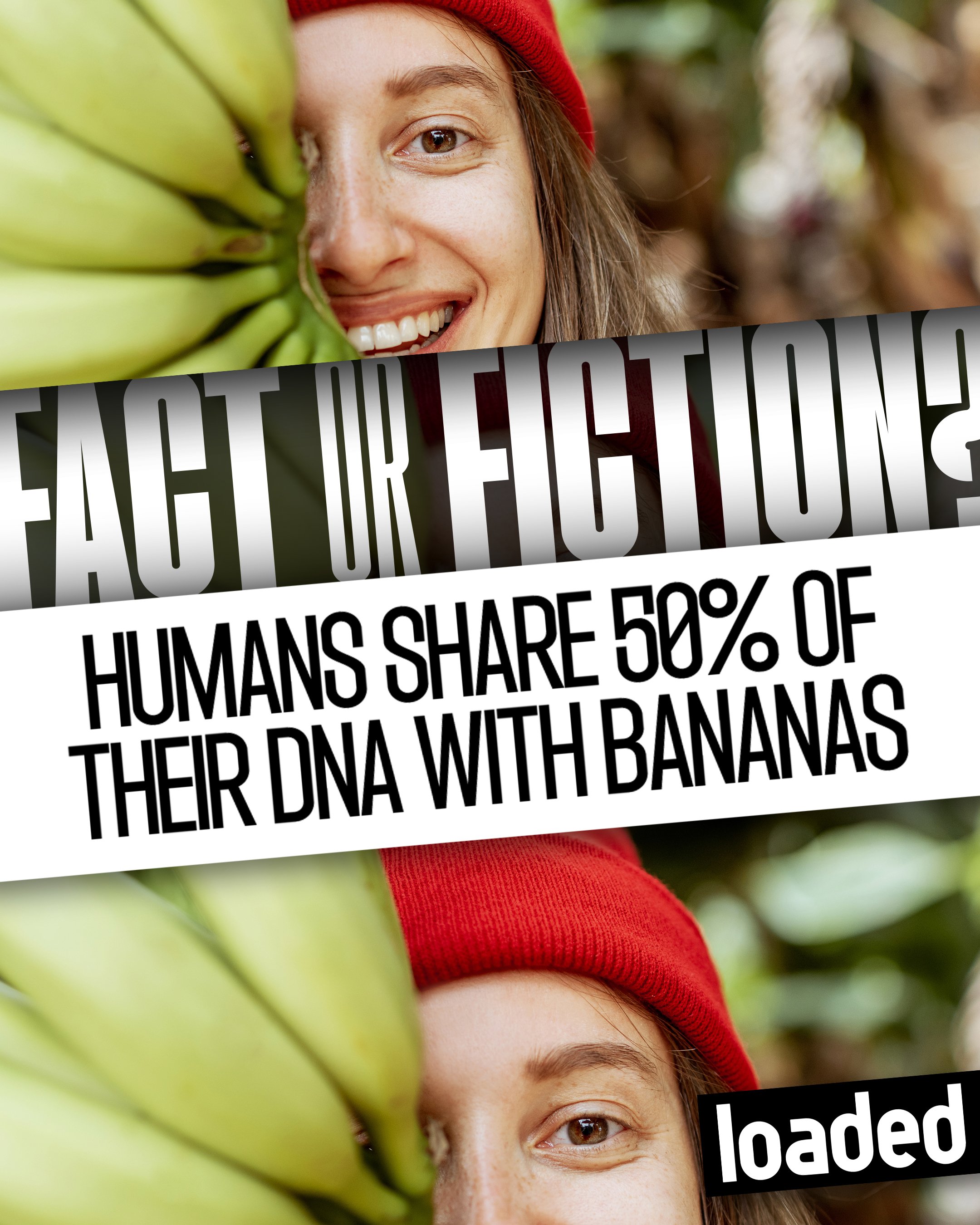 Loaded_FactOrFiction_4x5.jpg