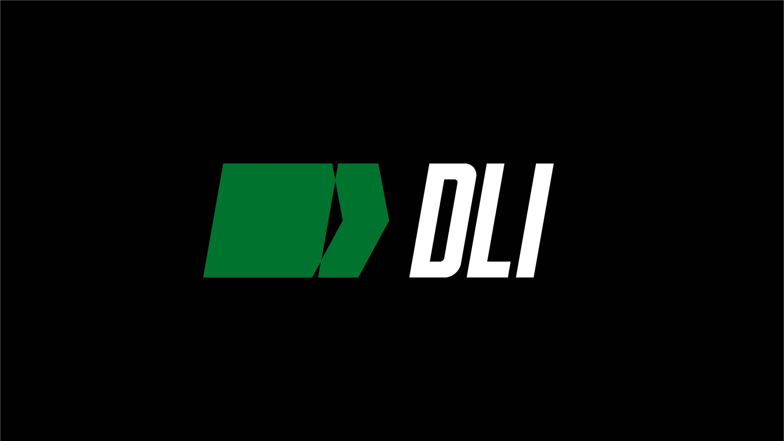 DubaiLogisticsInternational_Branding_v2_Page_06.jpg