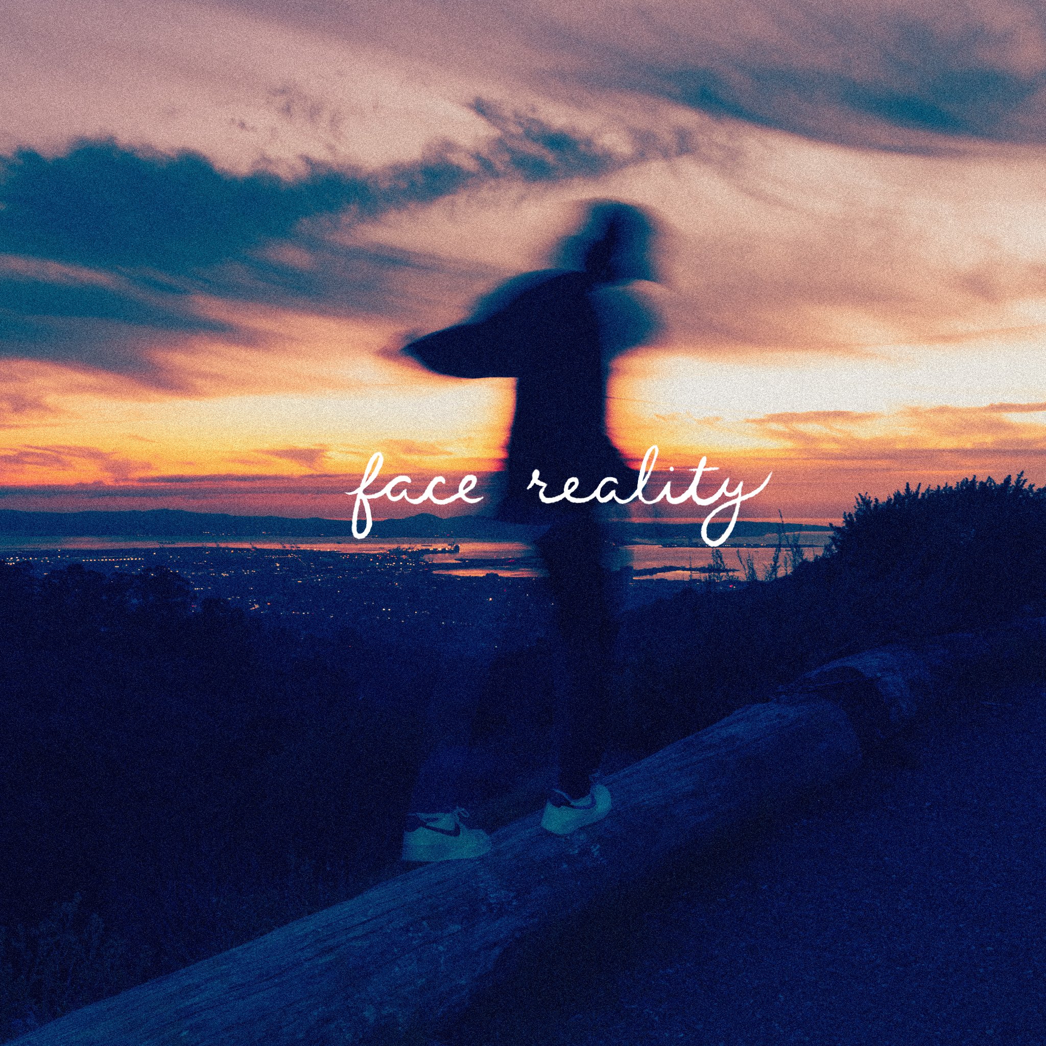 FACEREALITY_FINAL_WITH NOISE_NO NAME.jpg