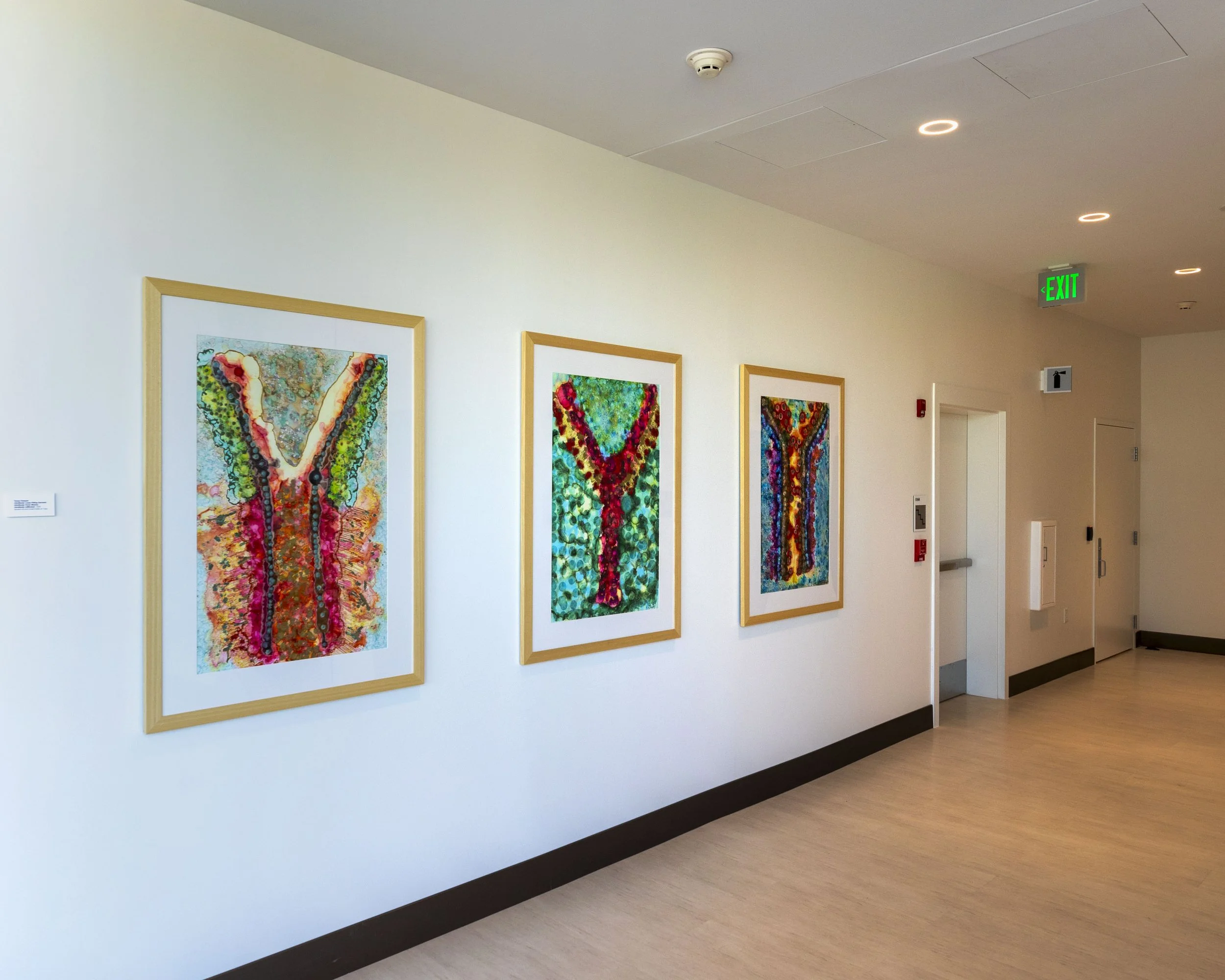 Teresa Vazquez, Antibody series