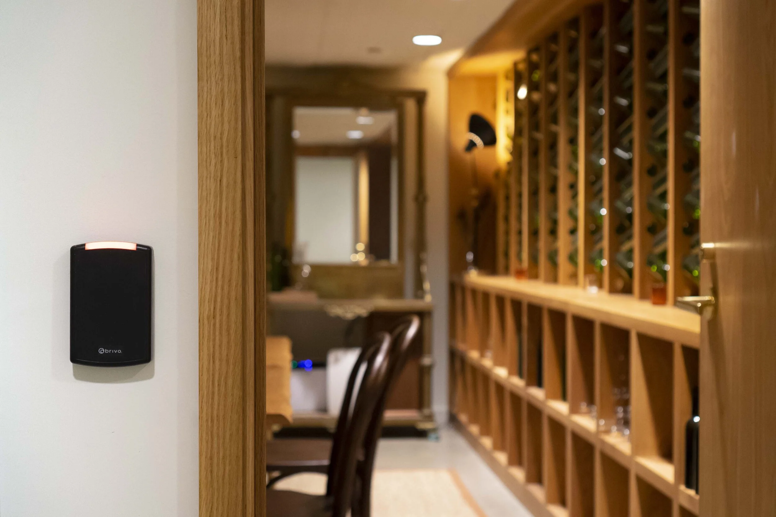 Mechums River Security Solutions