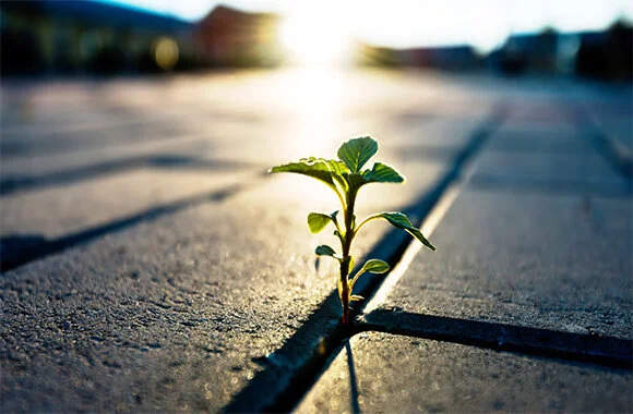 new resiliency medium.jpg