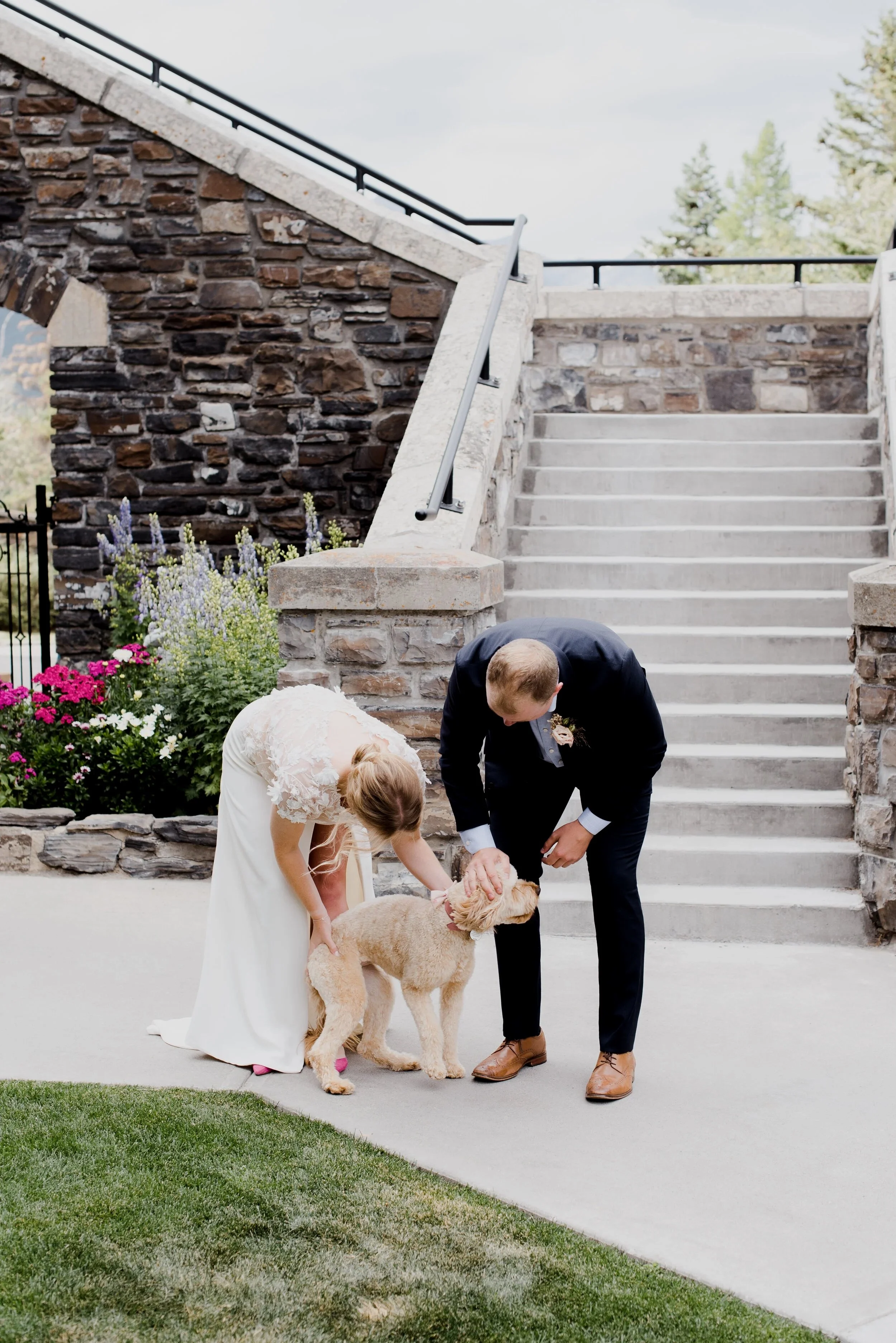 A bride and groom at their wedding, petting a golden doodle dog outside near stone stairs and a flower garden.