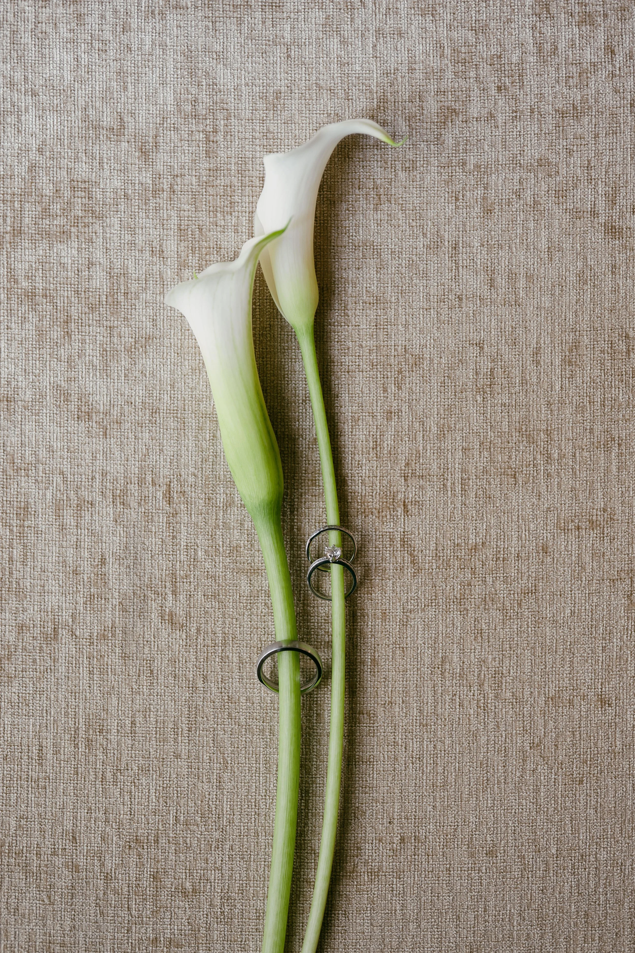 Two white calla lily flowers with wedding rings hanging from their stems on a textured beige background.