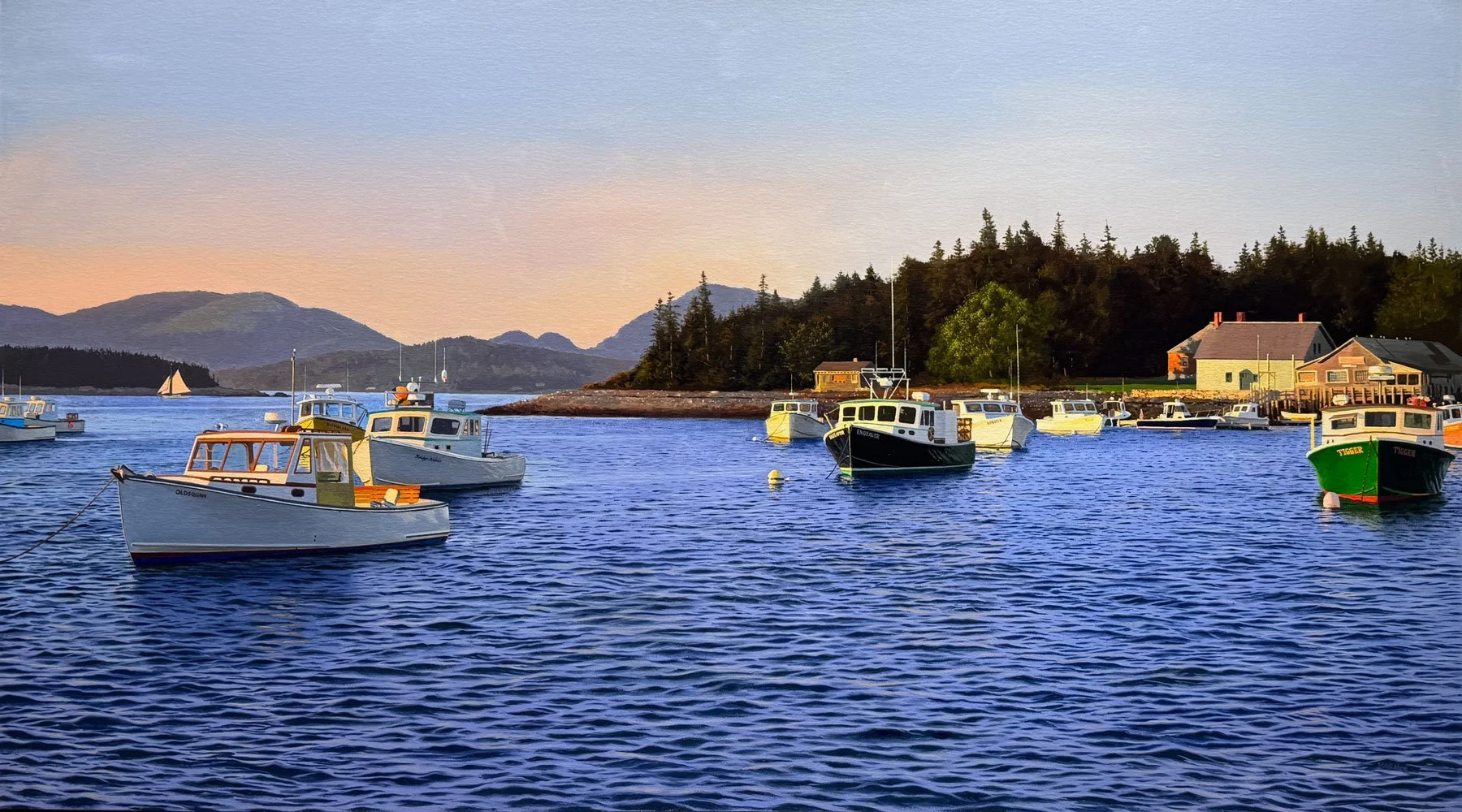 Acadia Evening