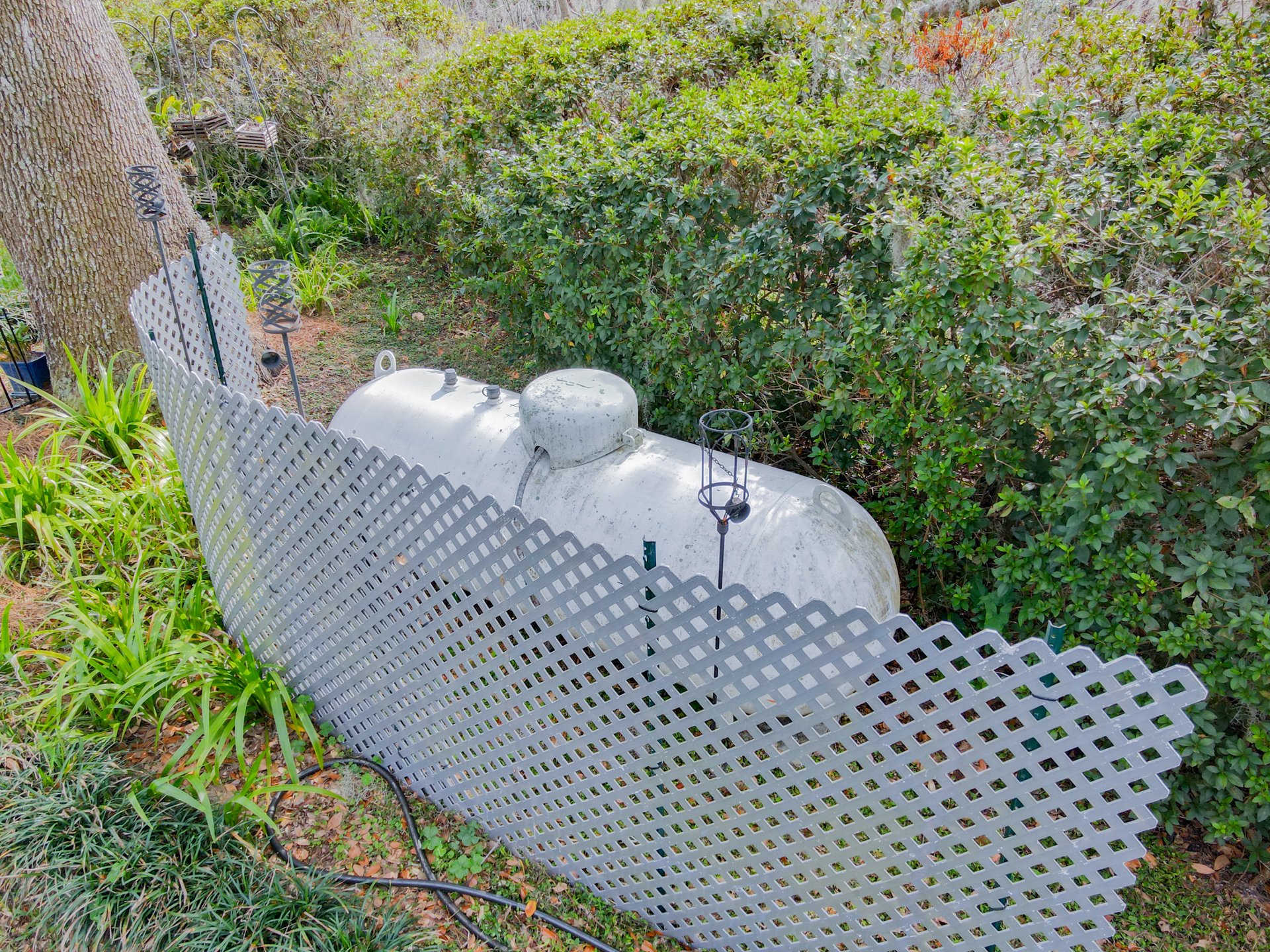 DJI_0345.jpg