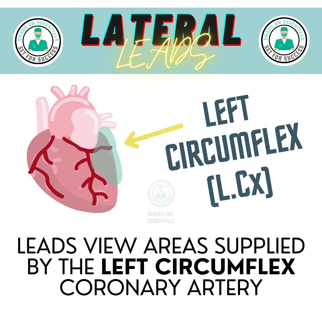 Lateral leads view the heart from the lateral chest wall and left arm. 
Want to take your ECG skills to next level? Check out &lsquo;ECG ESSENTIALS: 12 leads&rsquo; now on sale!! 
Link in bio 🔗 🖥️ 
#ecg #ecginterpretation #ekg #emergrnessentials #n