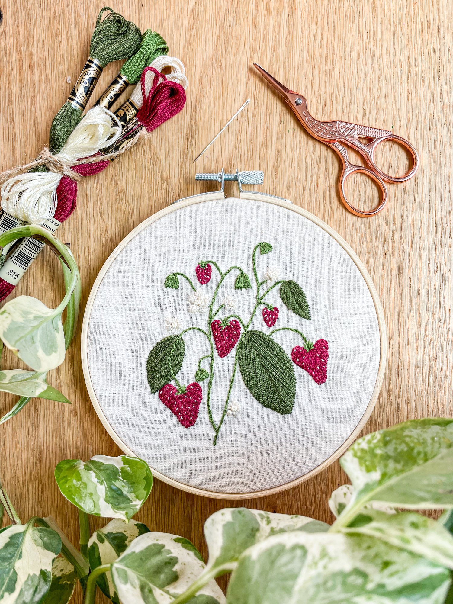 Embroidery Kit for Beginners with Pink Floral Design - Learn to Embroider —  Sherwood Forest Creations
