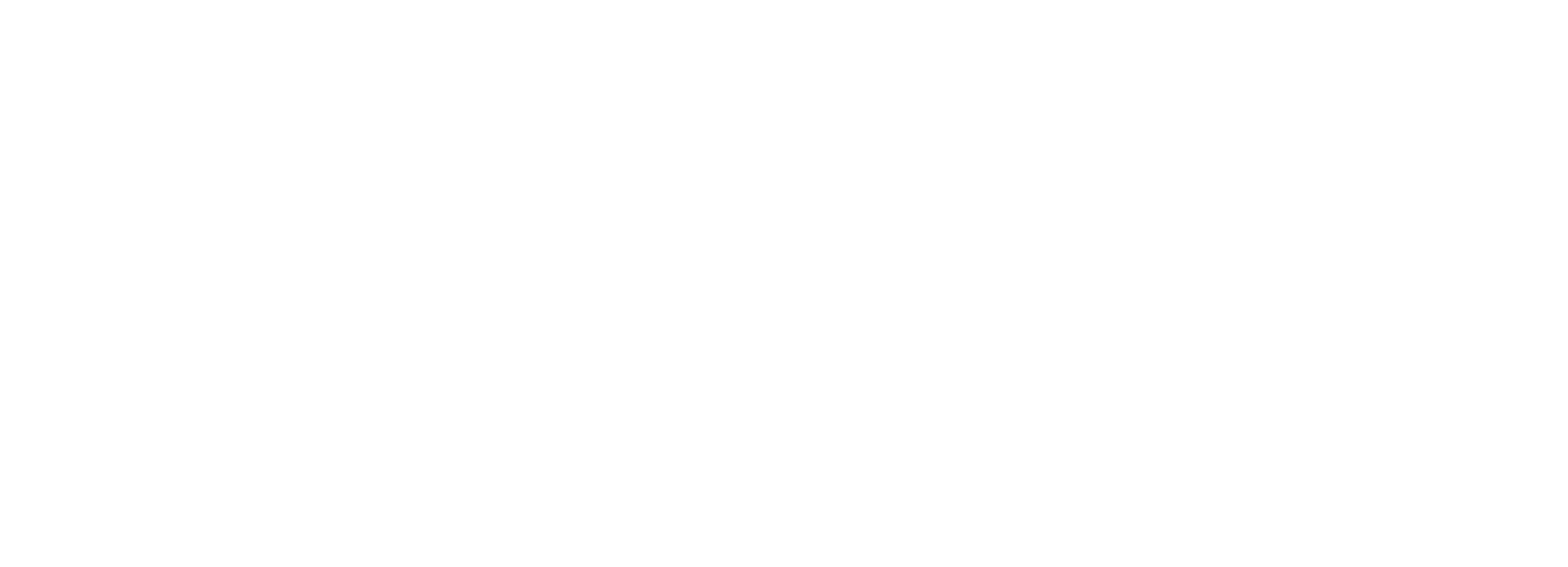 saltoki.png