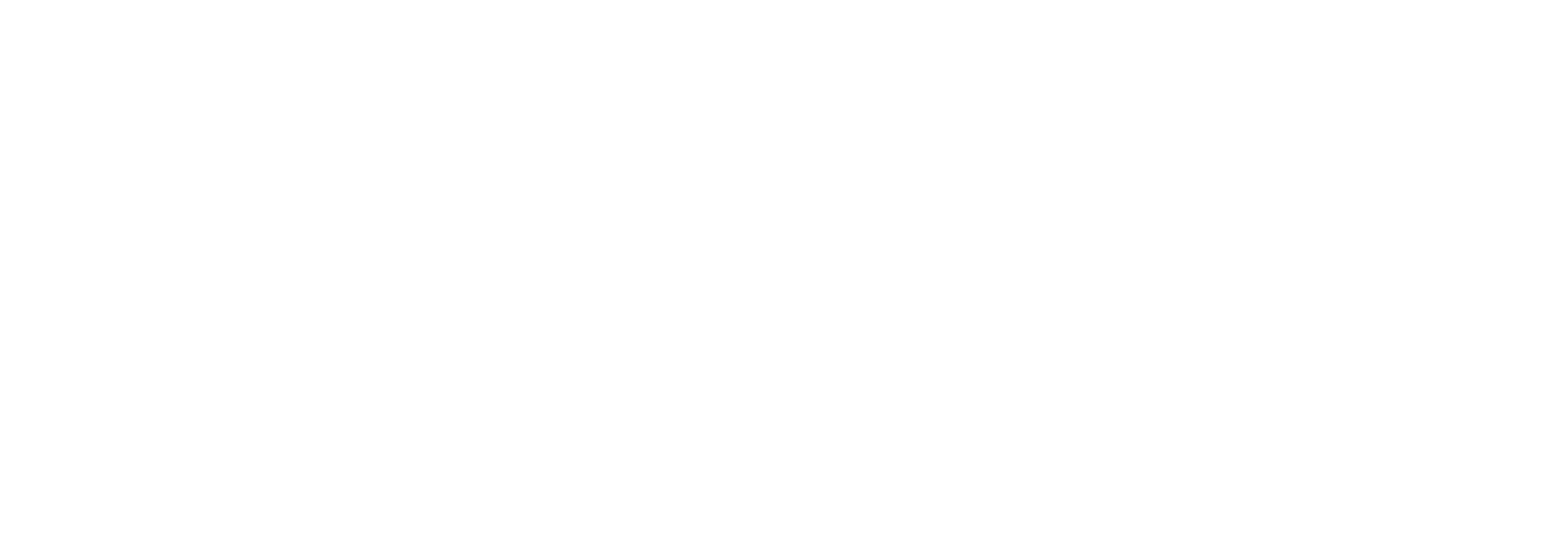 Logo Potermic Color Positivo solo.png