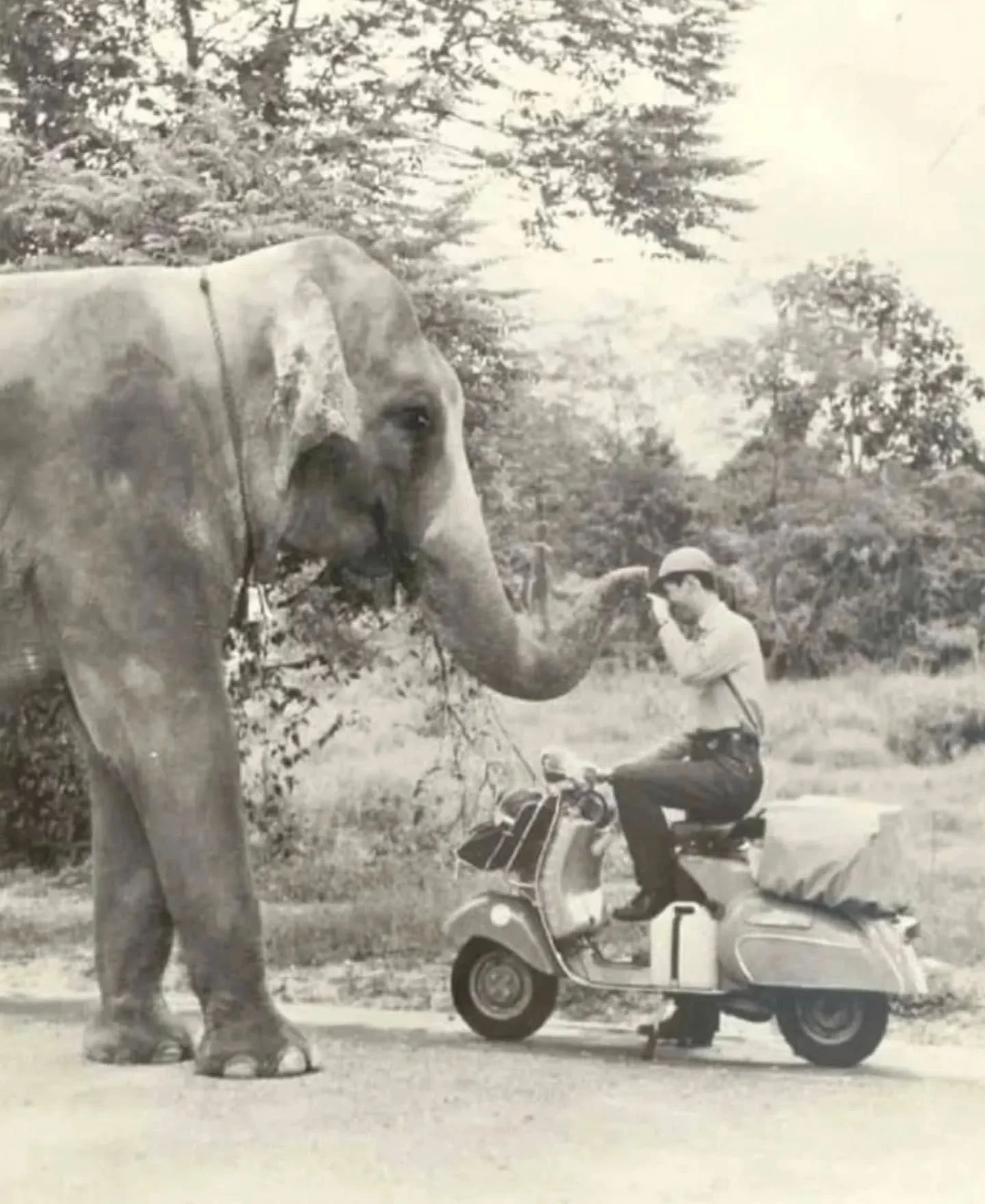 .
.
&bull; To be in Japan for the Olympic Games in October 1964, Roberto Patrignani (1935-2008), on 11 July 1964, left Milan for Tokyo on a Vespa 150, which had been specially set up and tested by the Experiences Division (Reparto Esperienze) of the 