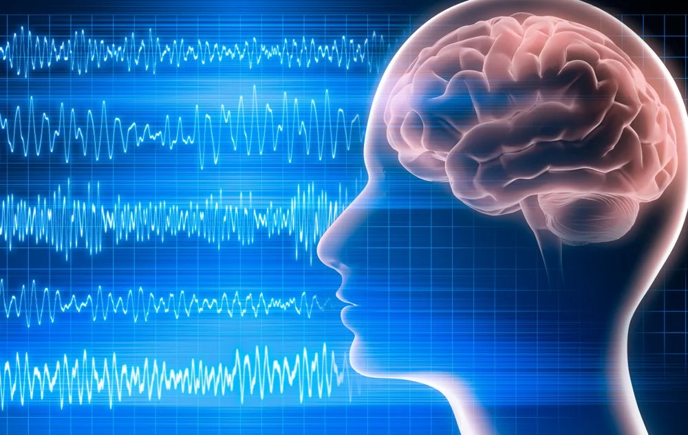 Understanding QEEG: A Window Into Brain Function