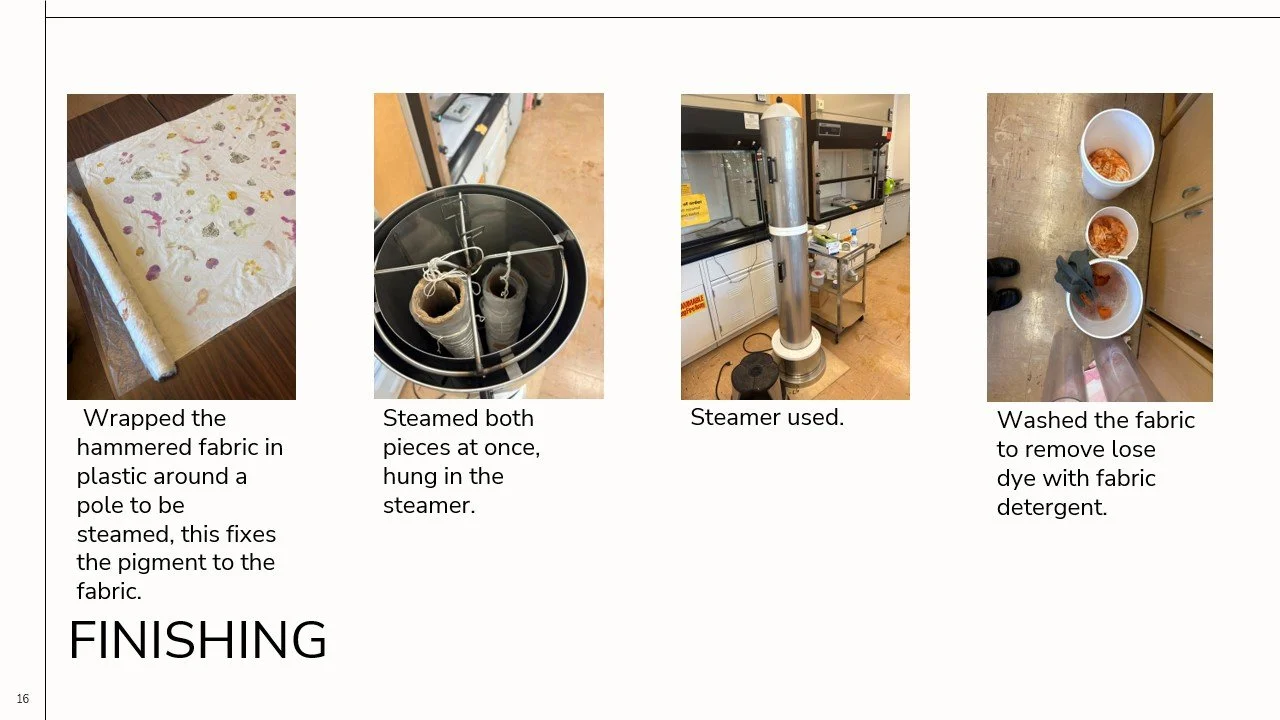 680-2025-LFGI-Sophia Lull-web-(16).jpg