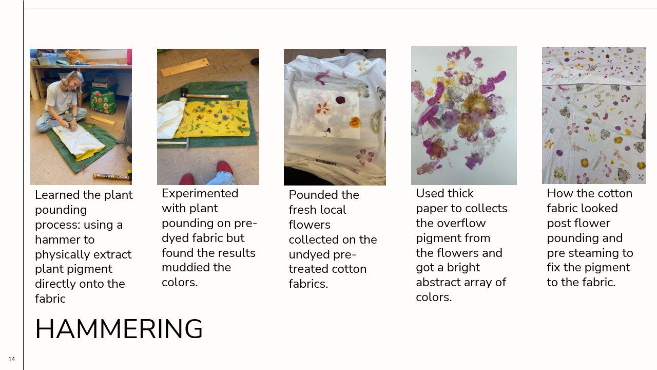 680-2025-LFGI-Sophia Lull-web-(14).jpg