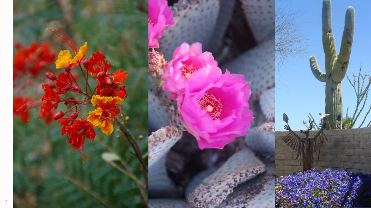 680-2025-LFGI-Sophia Lull-web-(09).jpg