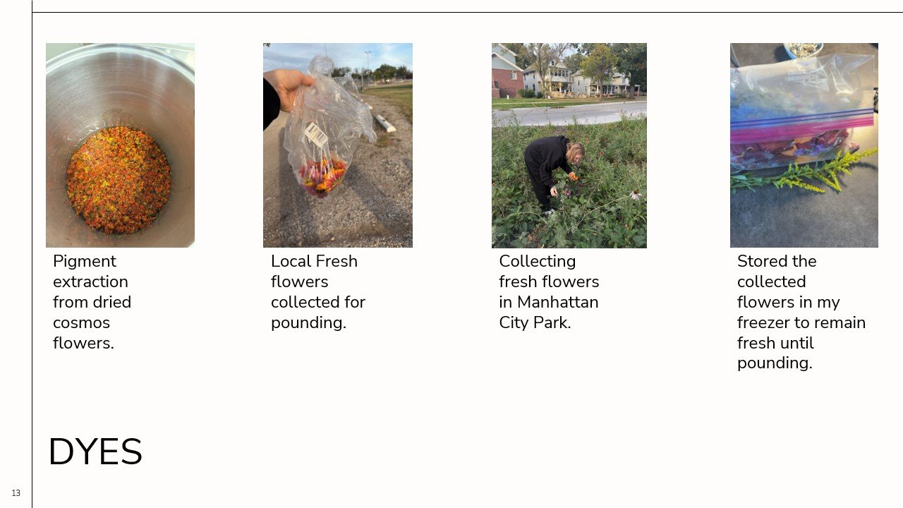 680-2025-LFGI-Sophia Lull-web-(13).jpg