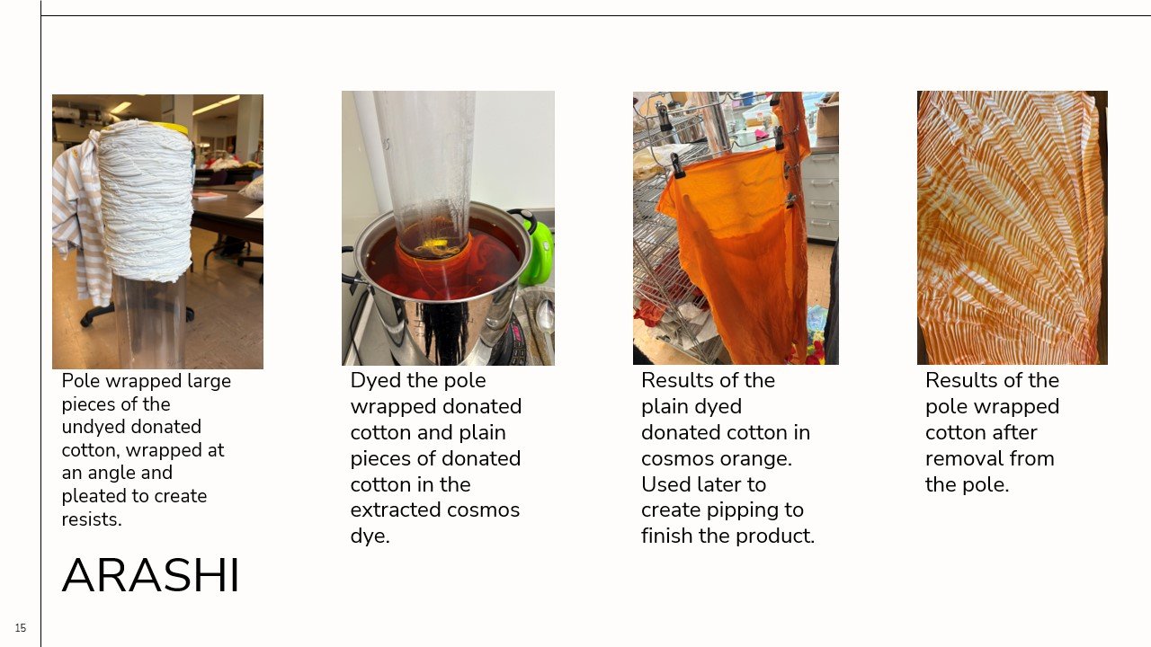 680-2025-LFGI-Sophia Lull-web-(15).jpg