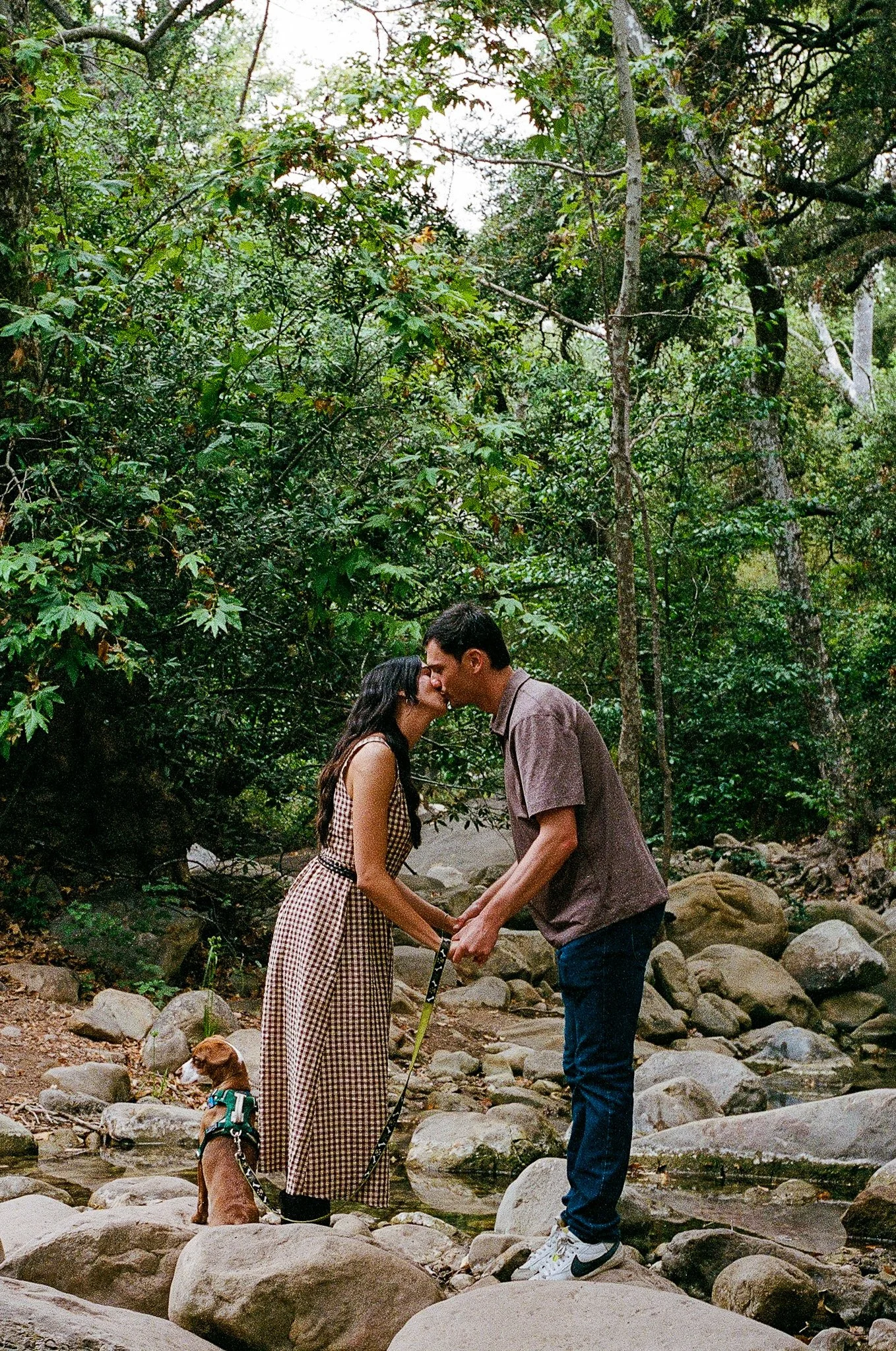 Santa Barbara Botanic Gardens Engagement-1(11).jpg