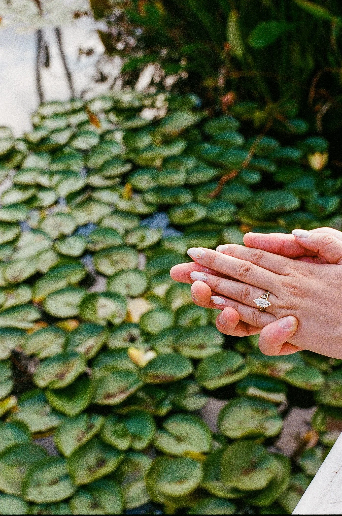 Balboa Park San Diego Engagement-1(31).jpg