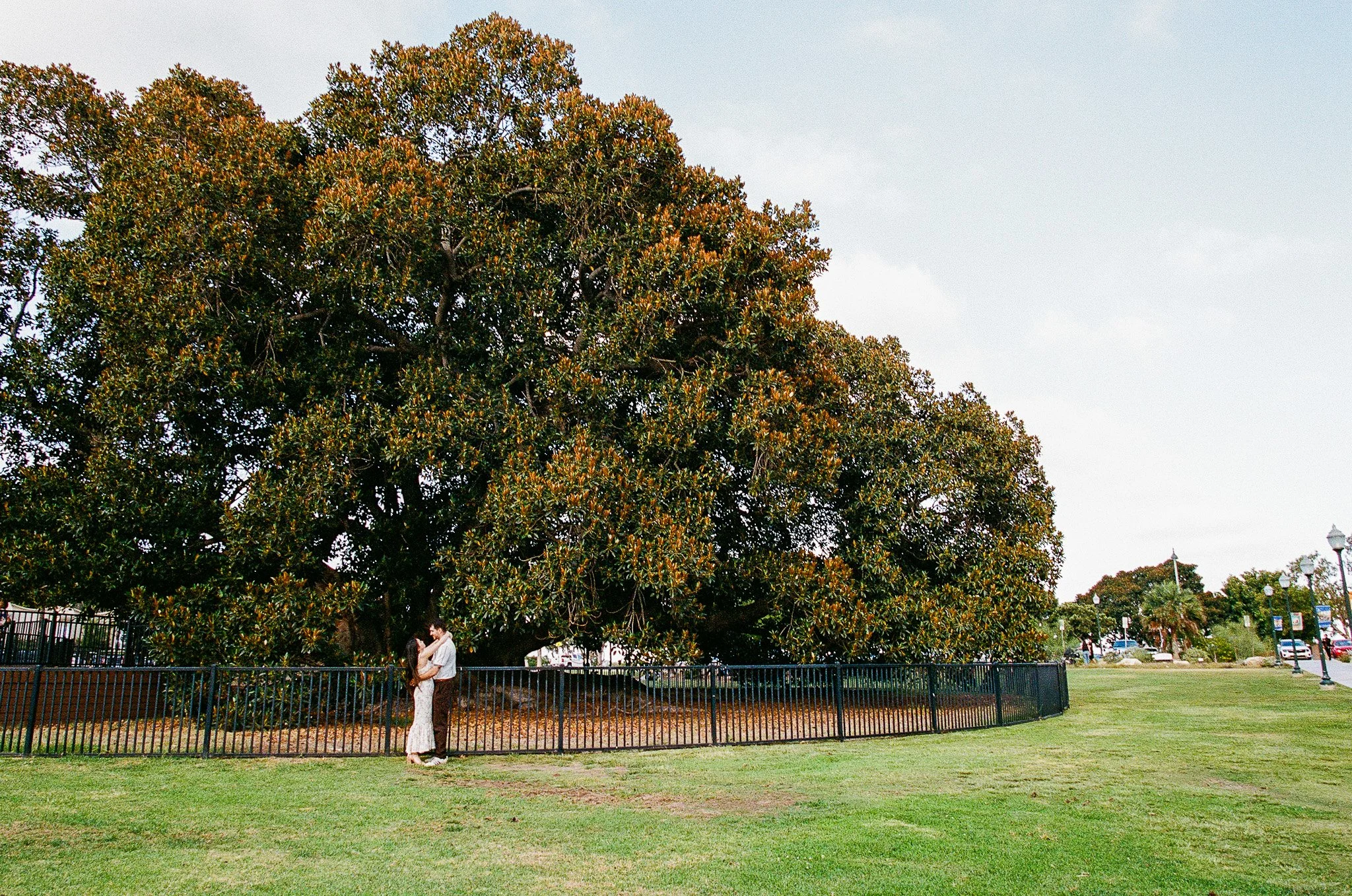 Balboa Park San Diego Engagement-1(12).jpg