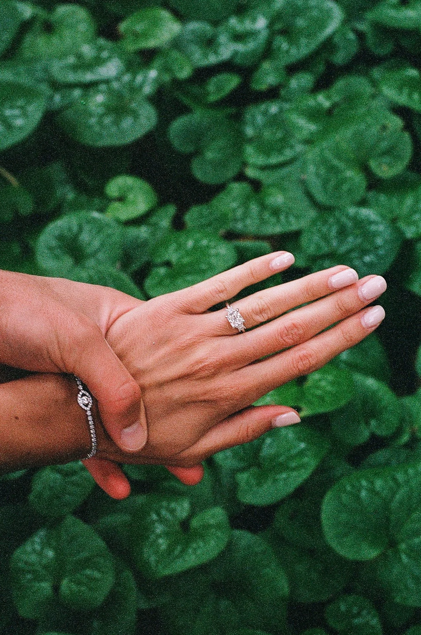 Santa Barbara Botanic Gardens Engagement-1(16).jpg