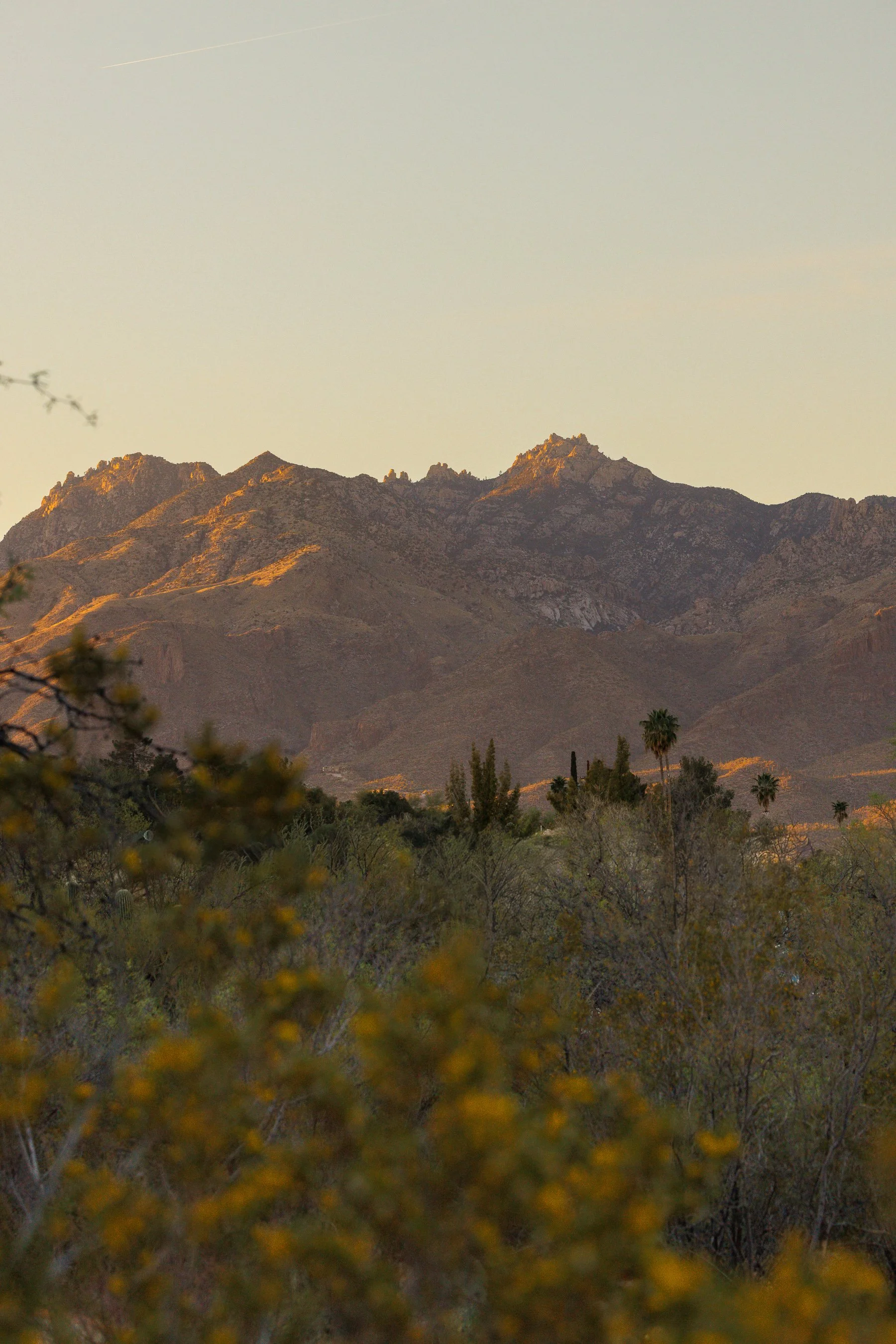 RiseRetreat26-204.jpg
