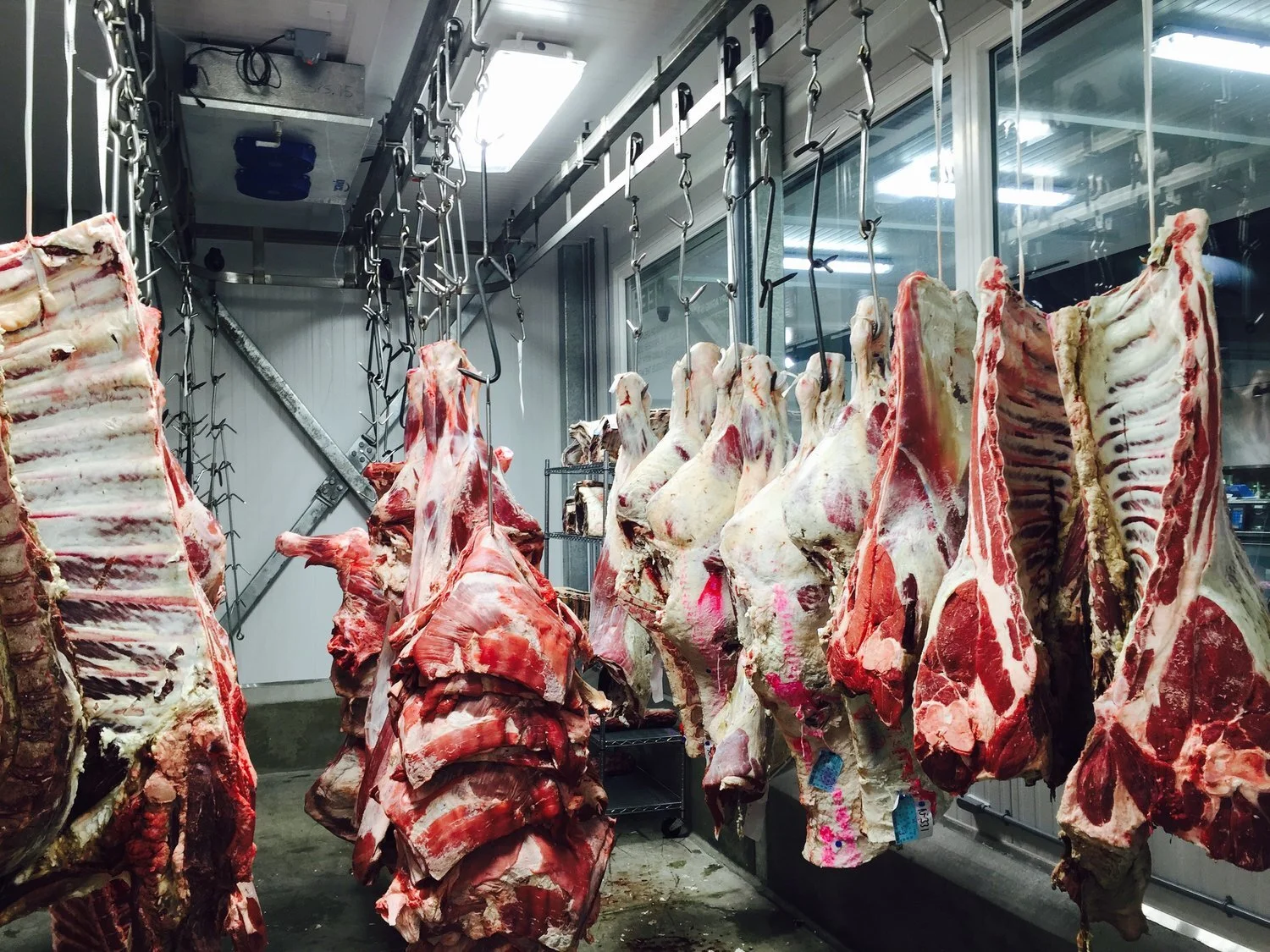 Custom Cutting 2 DeKonings.JPG