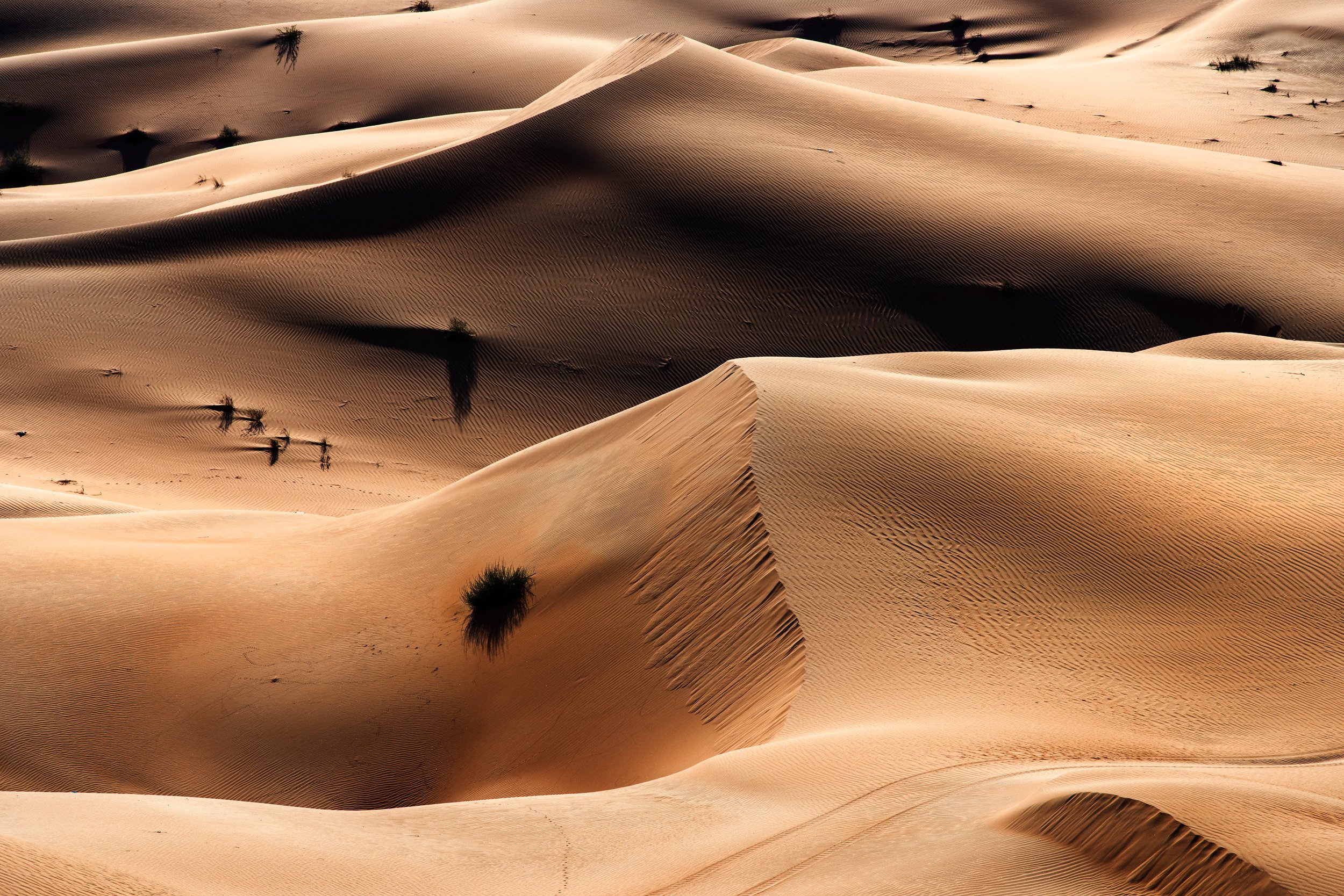 Buy Fine art photo print of Empty Quarter Desert of Abu Dhabi