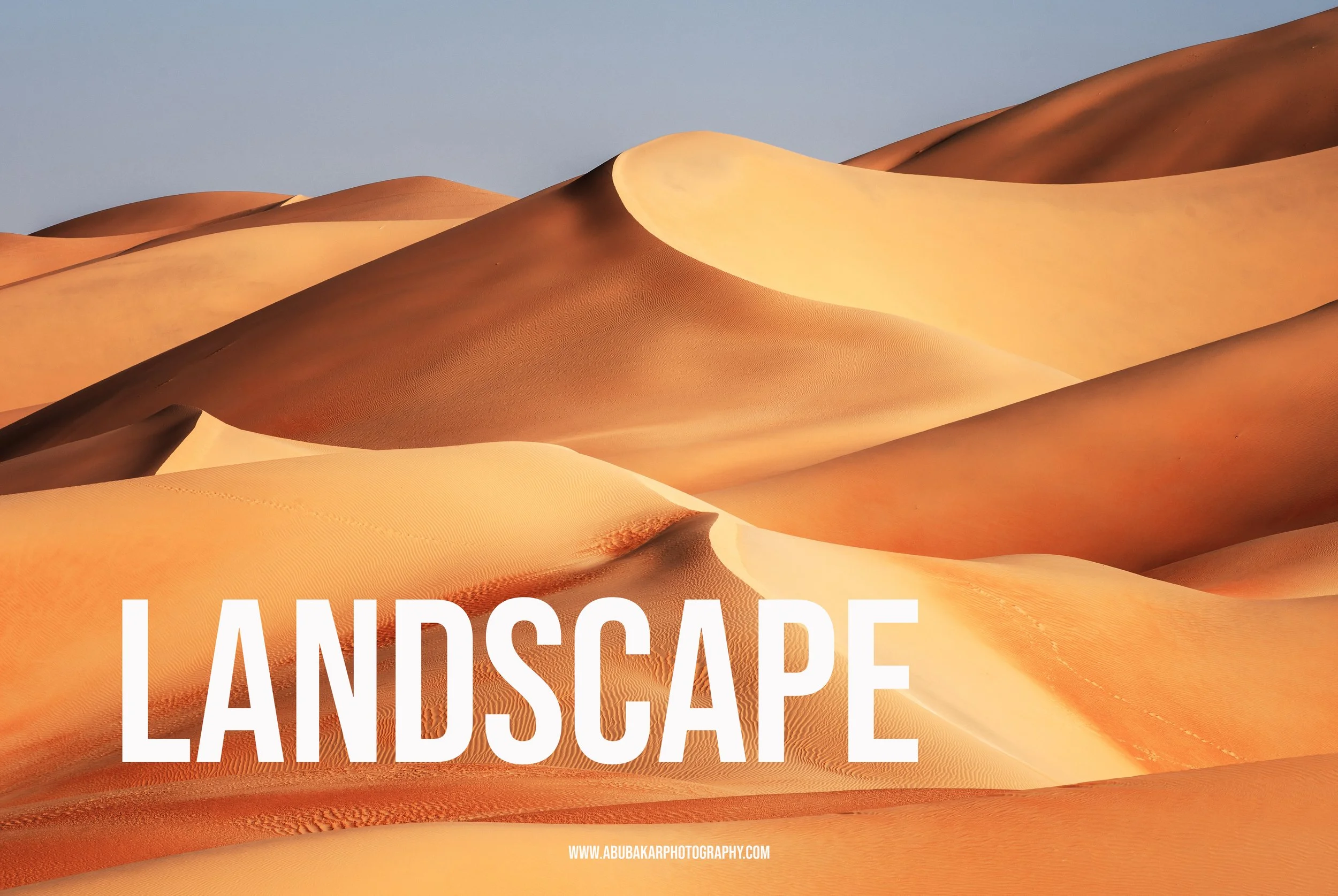 DSC_1777-7mb copy.jpg