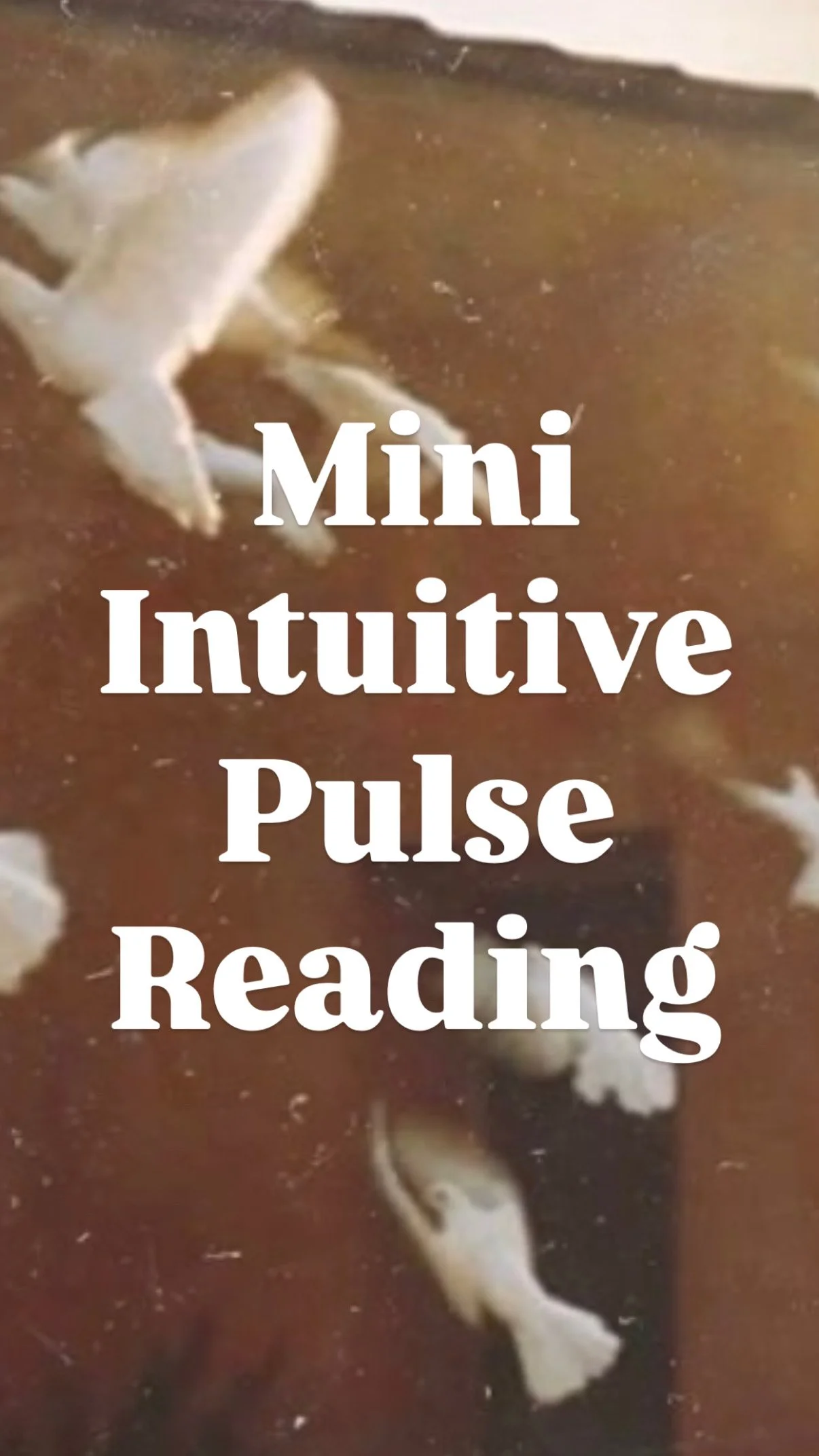 Mini Intuitive Pulse Reading — “What You Need to Know Right Now”