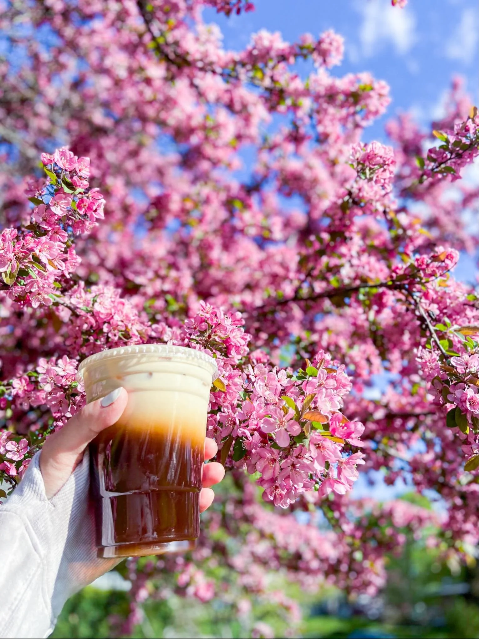 Happy Mother&rsquo;s Day to all you Mamas! Hope you enjoy some pretty lattes, cherry blossoms, and family time today! ✨ Open 8AM-6PM. 
We also have tables and chairs outside on our patio for you on this beautiful day! 😎