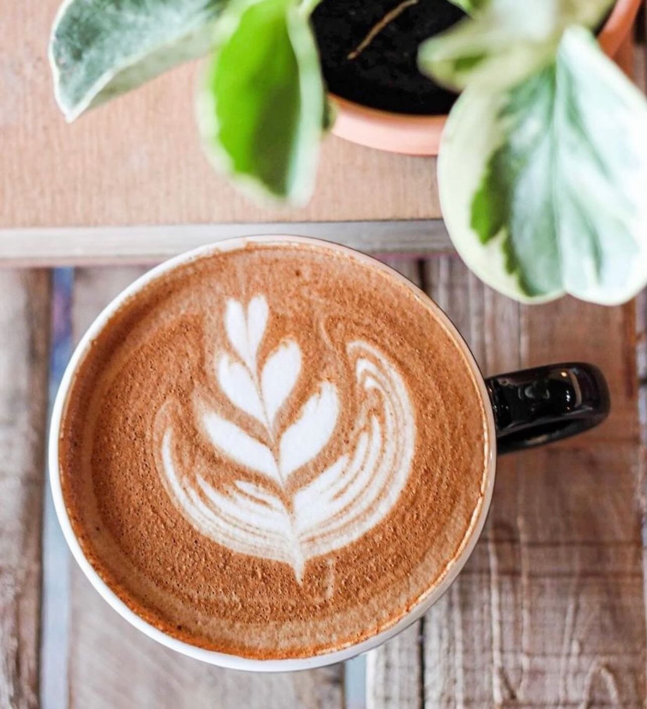 &bull; a latte in hand &bull; 
Whether you like your latte plain or with a splash of flavor, our baristas are here to help! Lots of flavor options like lavender, vanilla, caramel, mocha, raspberry, or a dash of honey or cinnamon! Lots of options to m