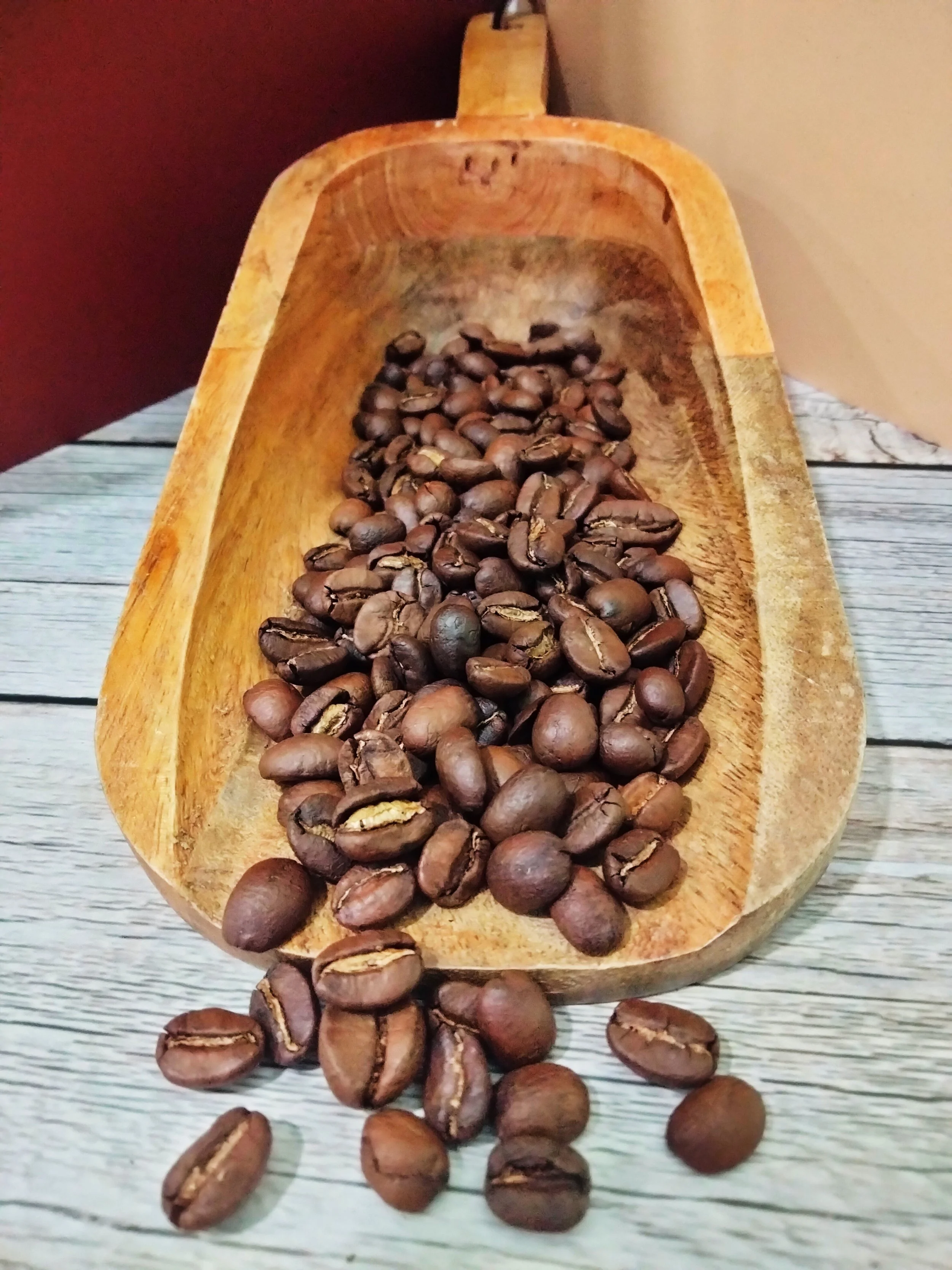 specialty coffee, organic coffee, Nicaragua coffee, medium roast, coffee beans, ground coffee, fair trade coffee, coffee sourcing