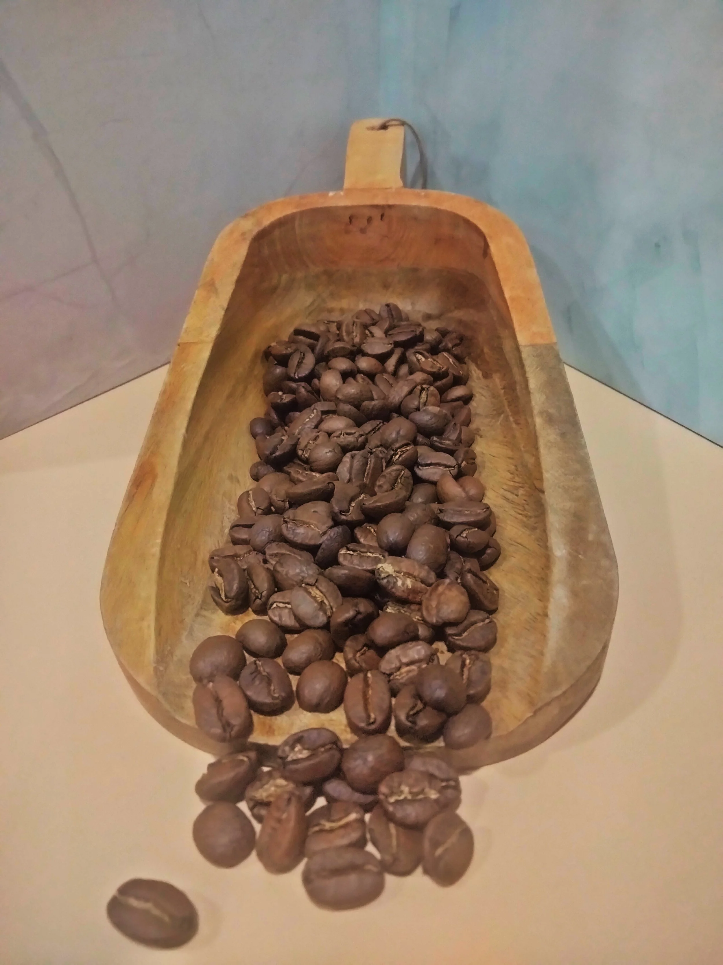 medium roast beans.jpg