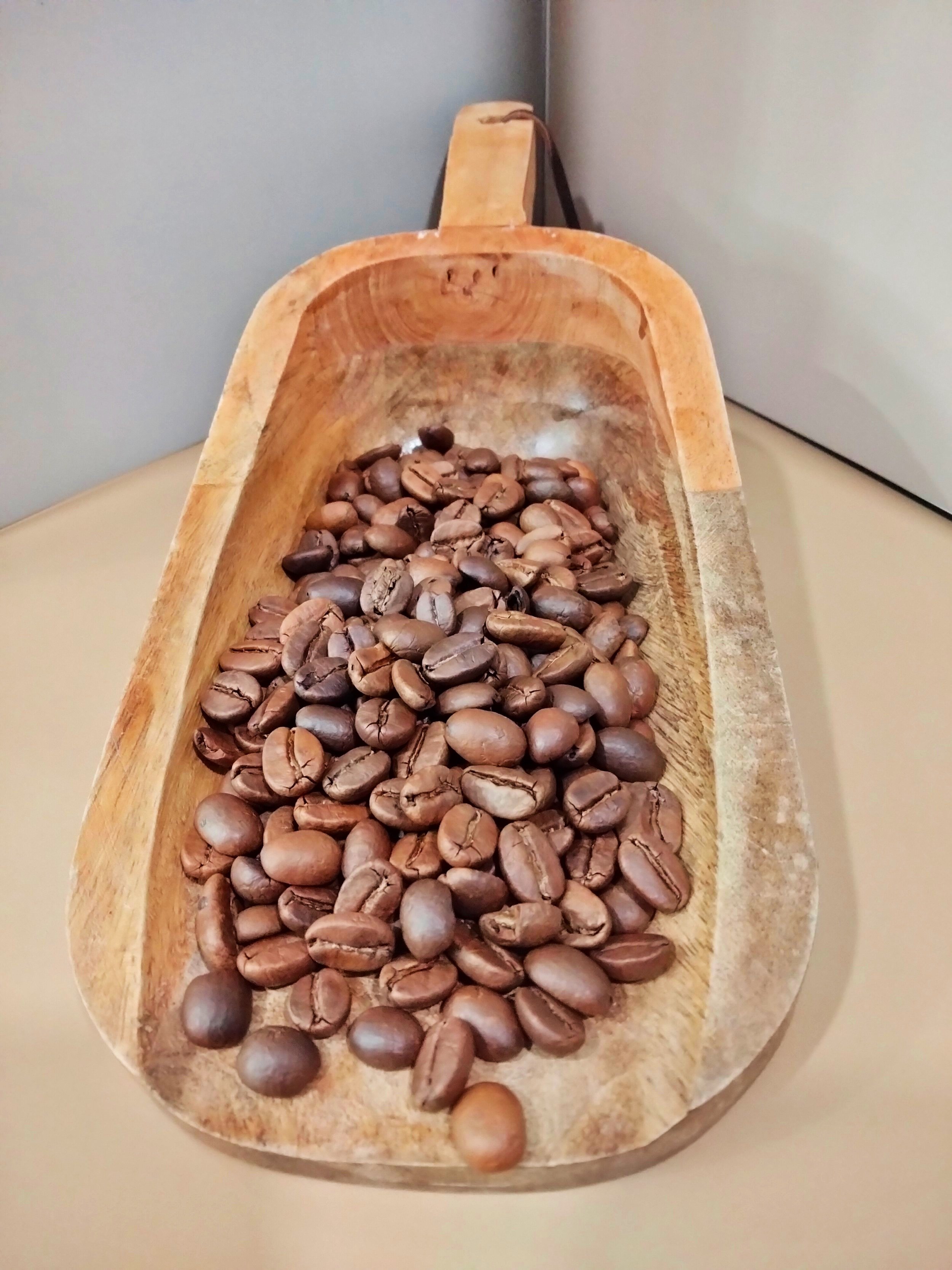 gourmet coffee, florida organic coffee, marion county roasting classes, florida coffee culture, marion county premium coffee, roasters florida, marion county coffee events,