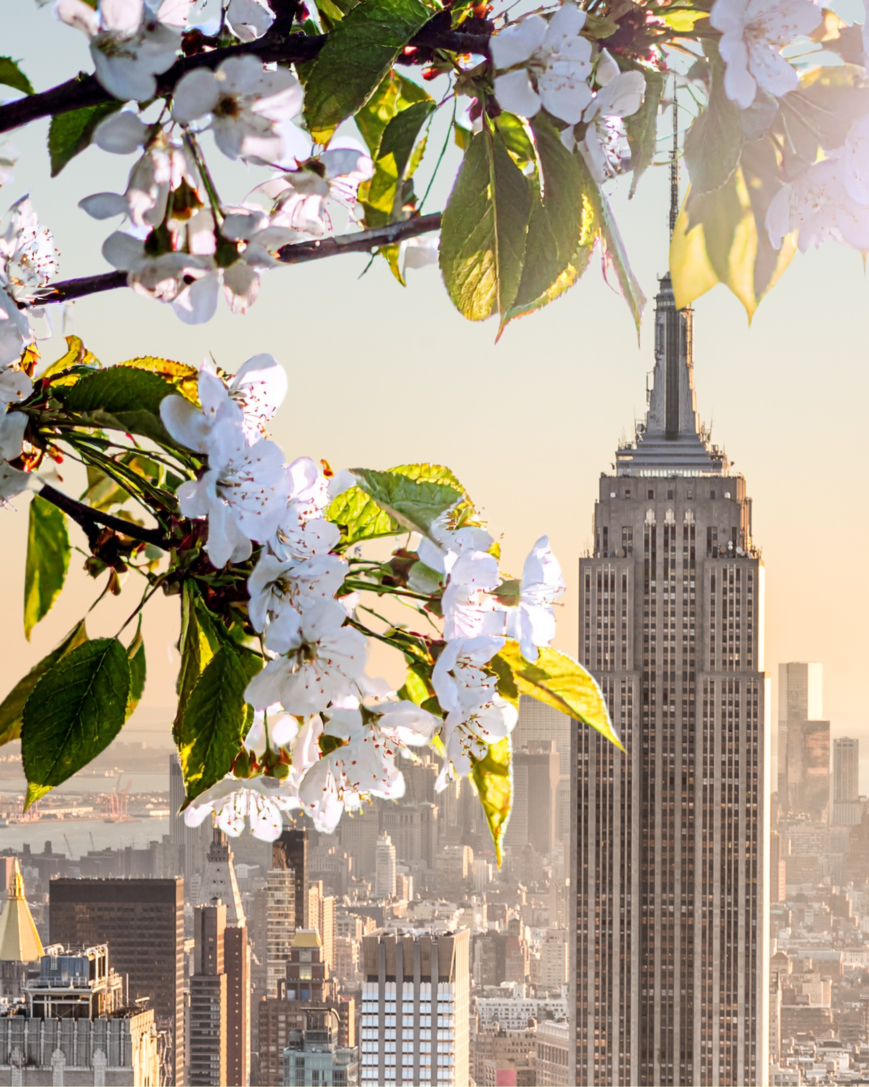 Spring Reset in NYC: A Smarter Way to Refresh Your Health This Season