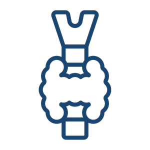 Thyroid icon