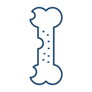 Bone health icon
