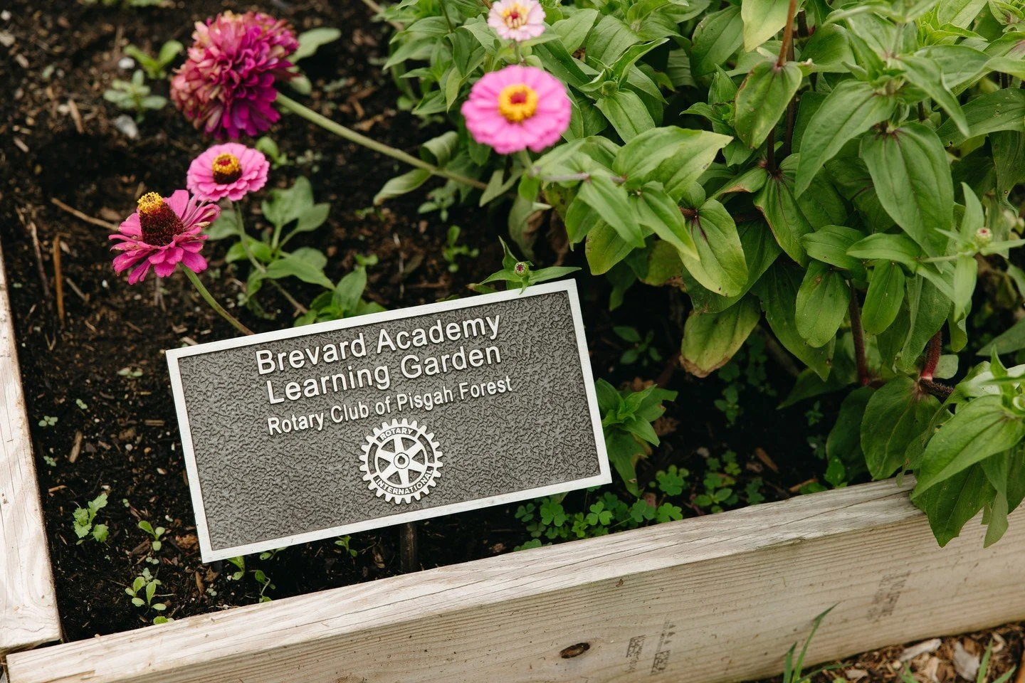 Learning doesn&rsquo;t always happen inside a classroom! At @babulldogs, students get hands-on experience through a unique outdoor education program&mdash;gardening, raising chickens, trail work, invasive species management, mountain biking, and more