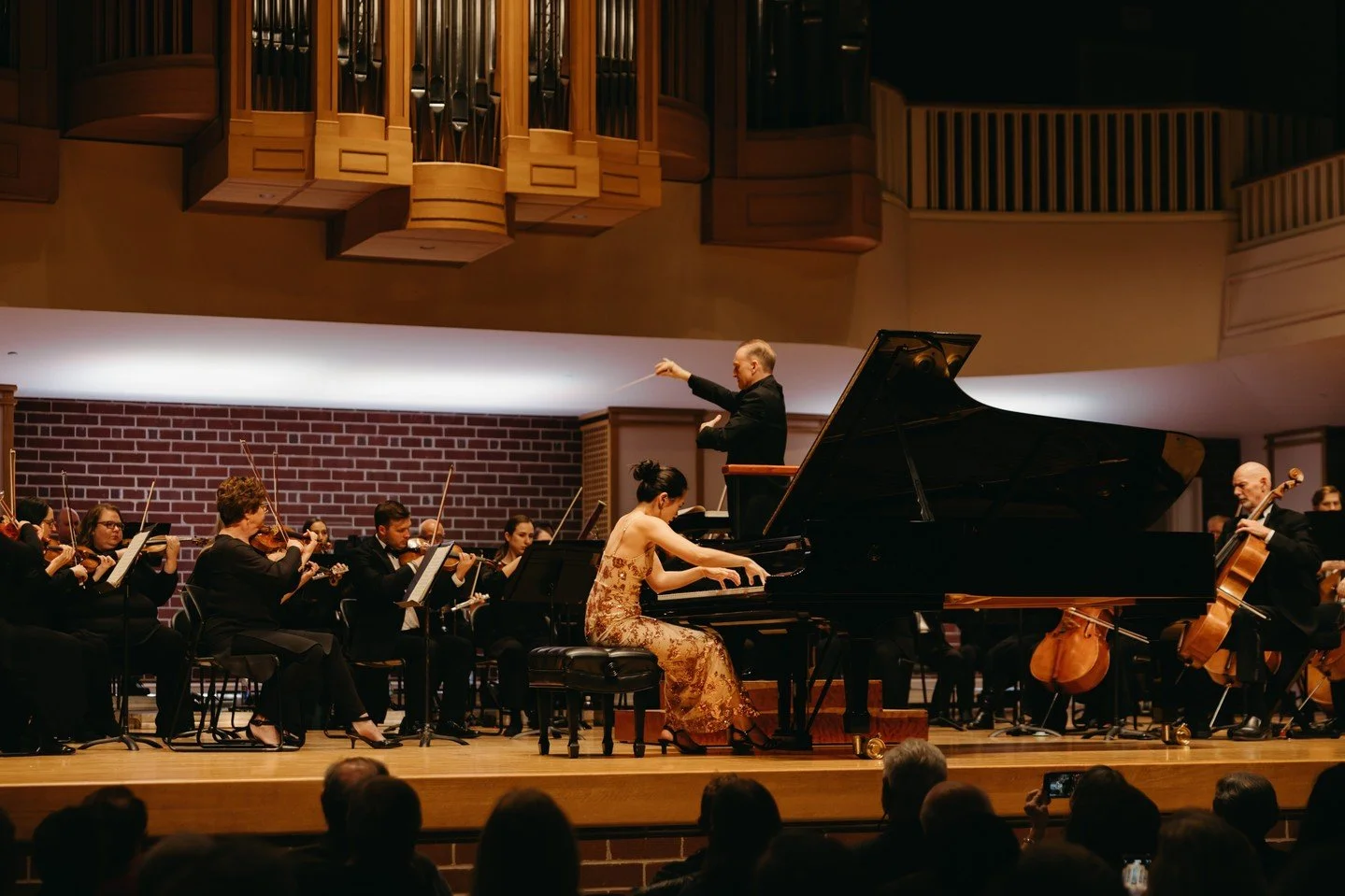 50 years of music. One extraordinary season. The @bphnc is celebrating its 50th anniversary with a spectacular 2026&ndash;27 season featuring a live film-score experience, a newly commissioned work inspired by Brevard, and world-class guest artists. 
